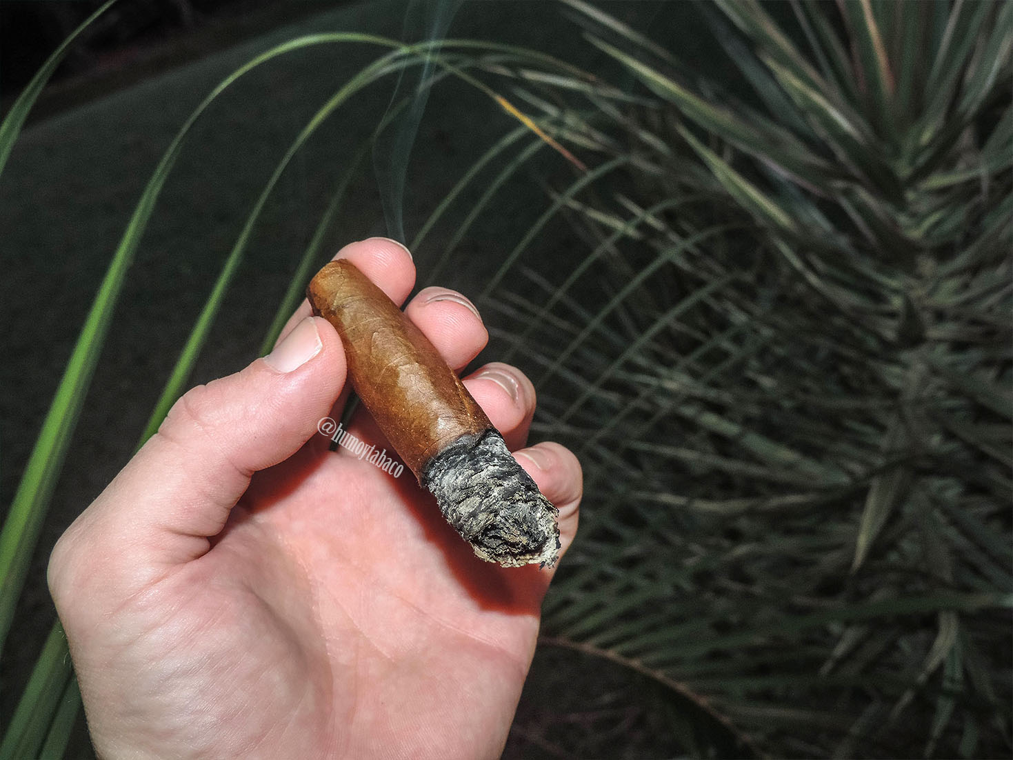 Casa Turrent - Serie 1942 06