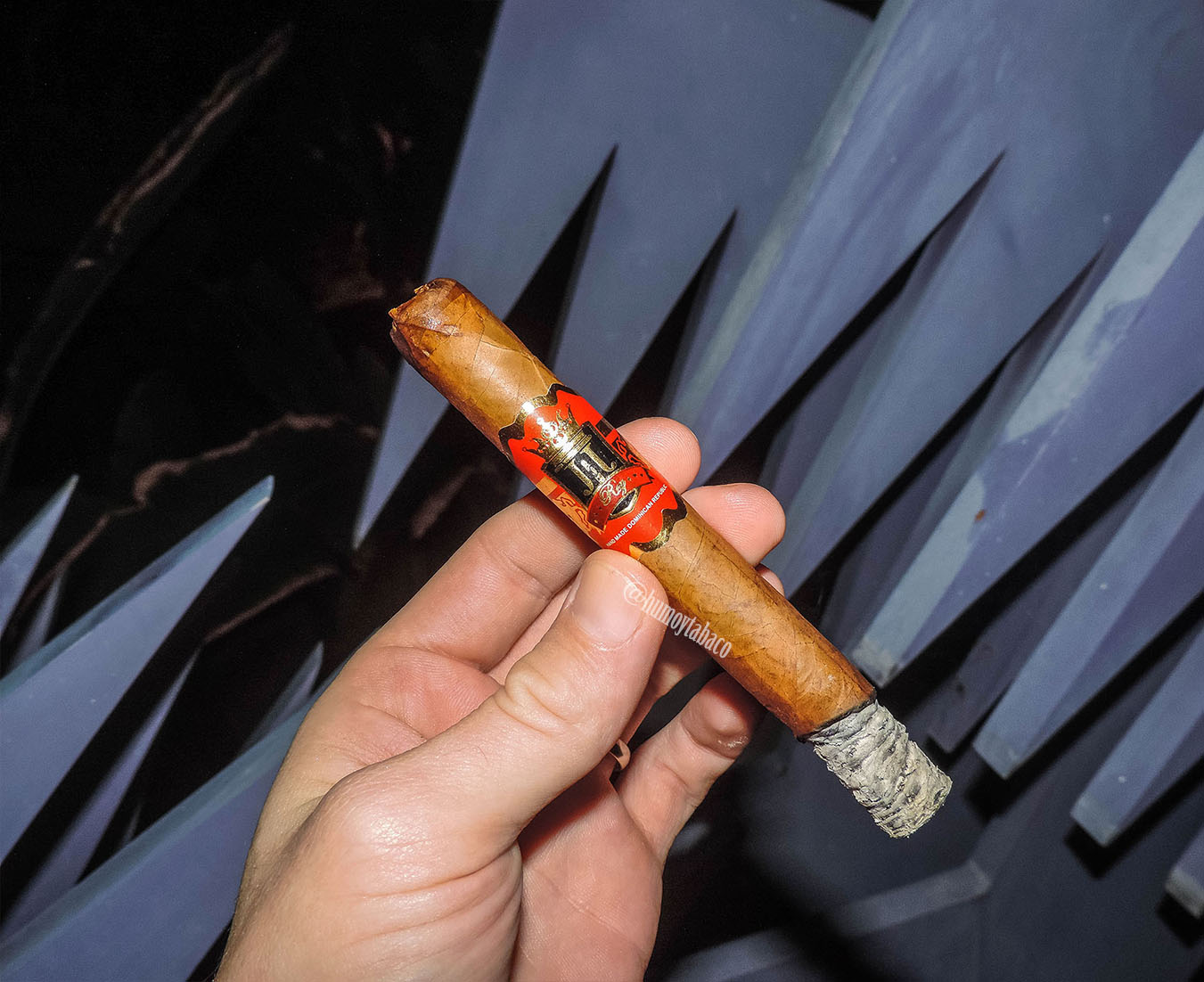 JJ Cigars Rey 03