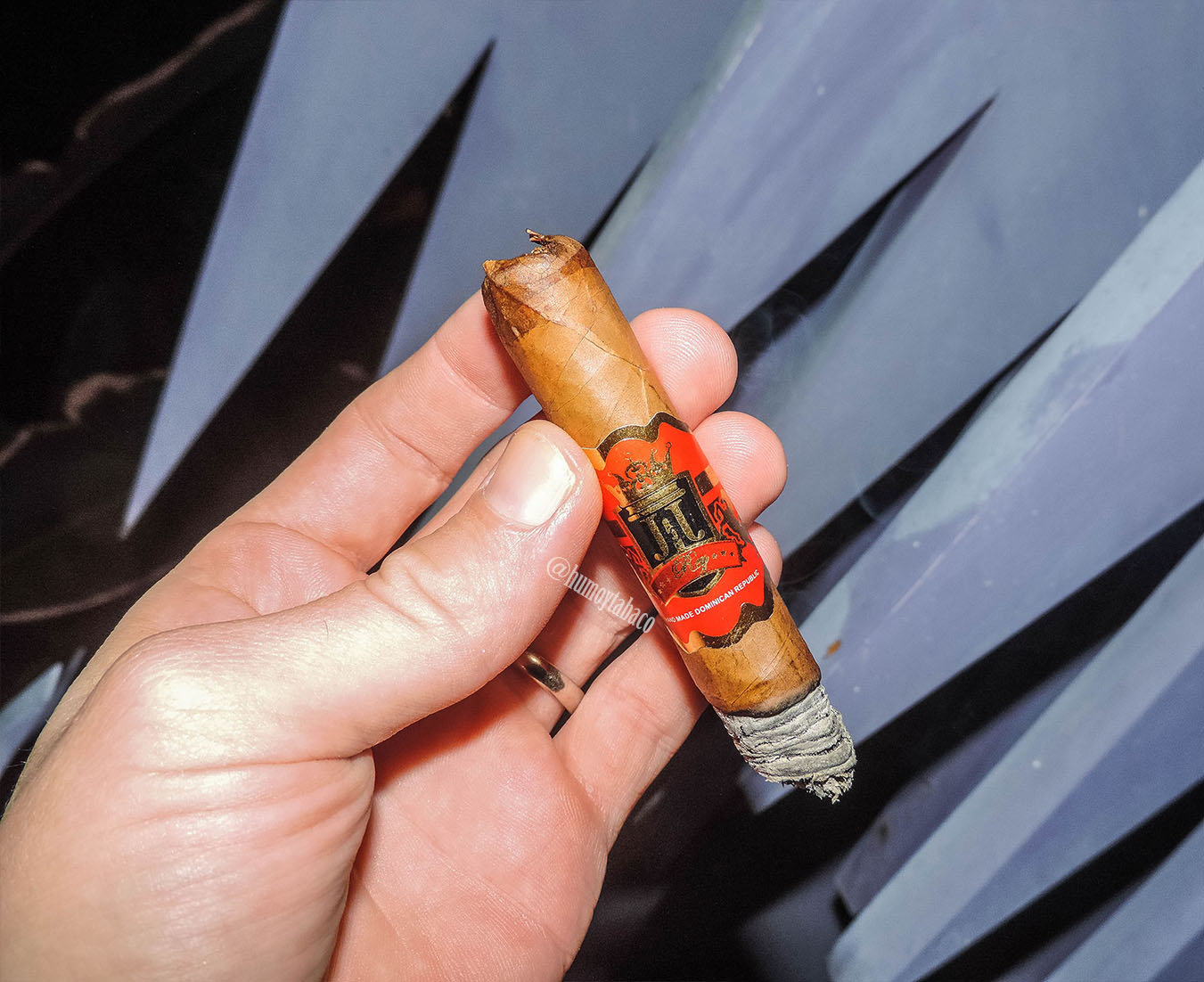 JJ Cigars Rey 05