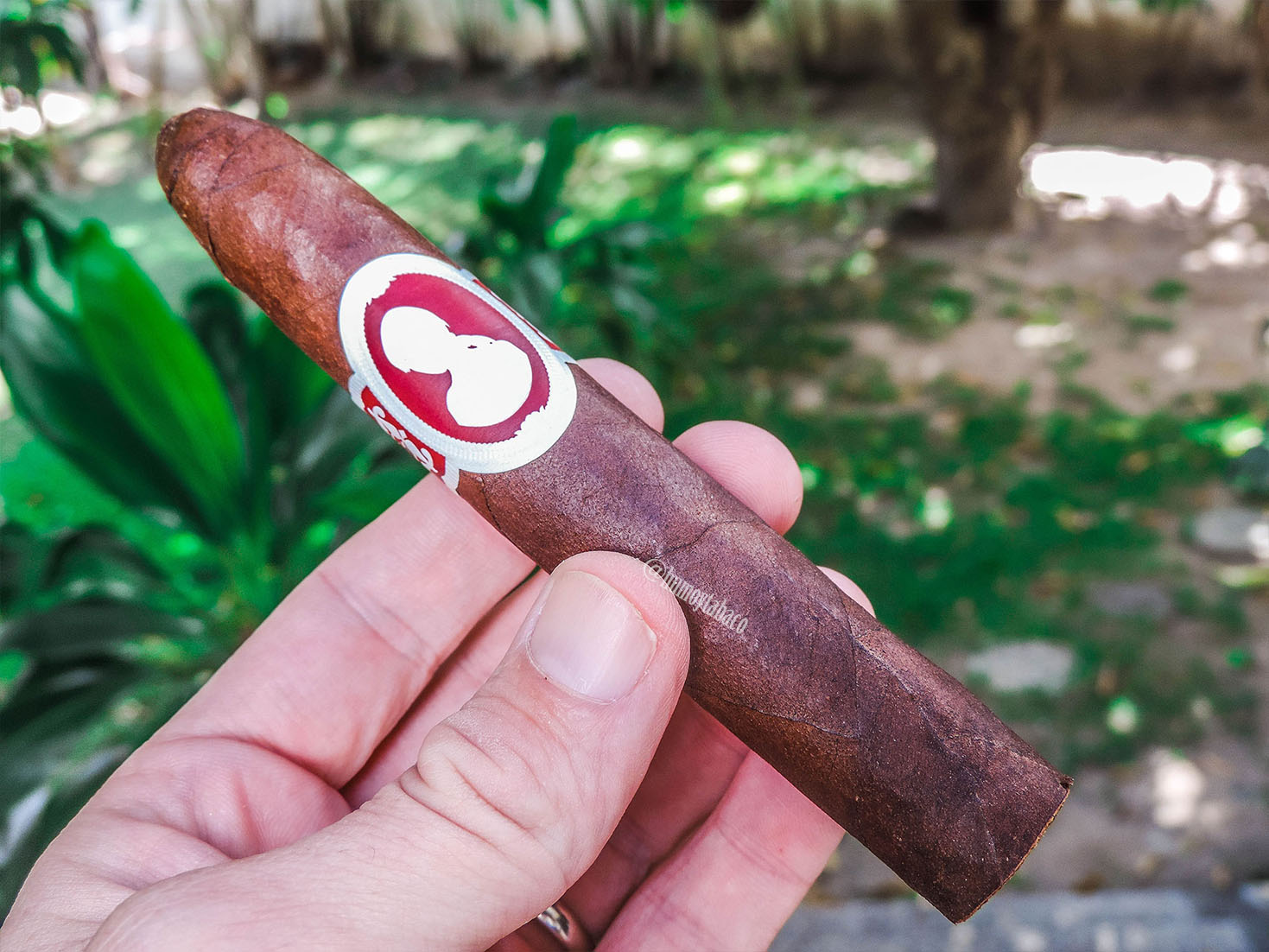 My Father - La Dueña 01