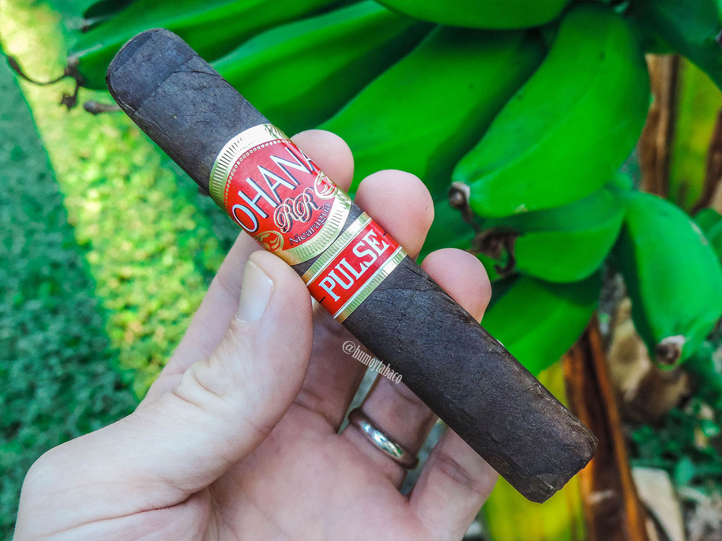 Ohana - Pulse Maduro 01