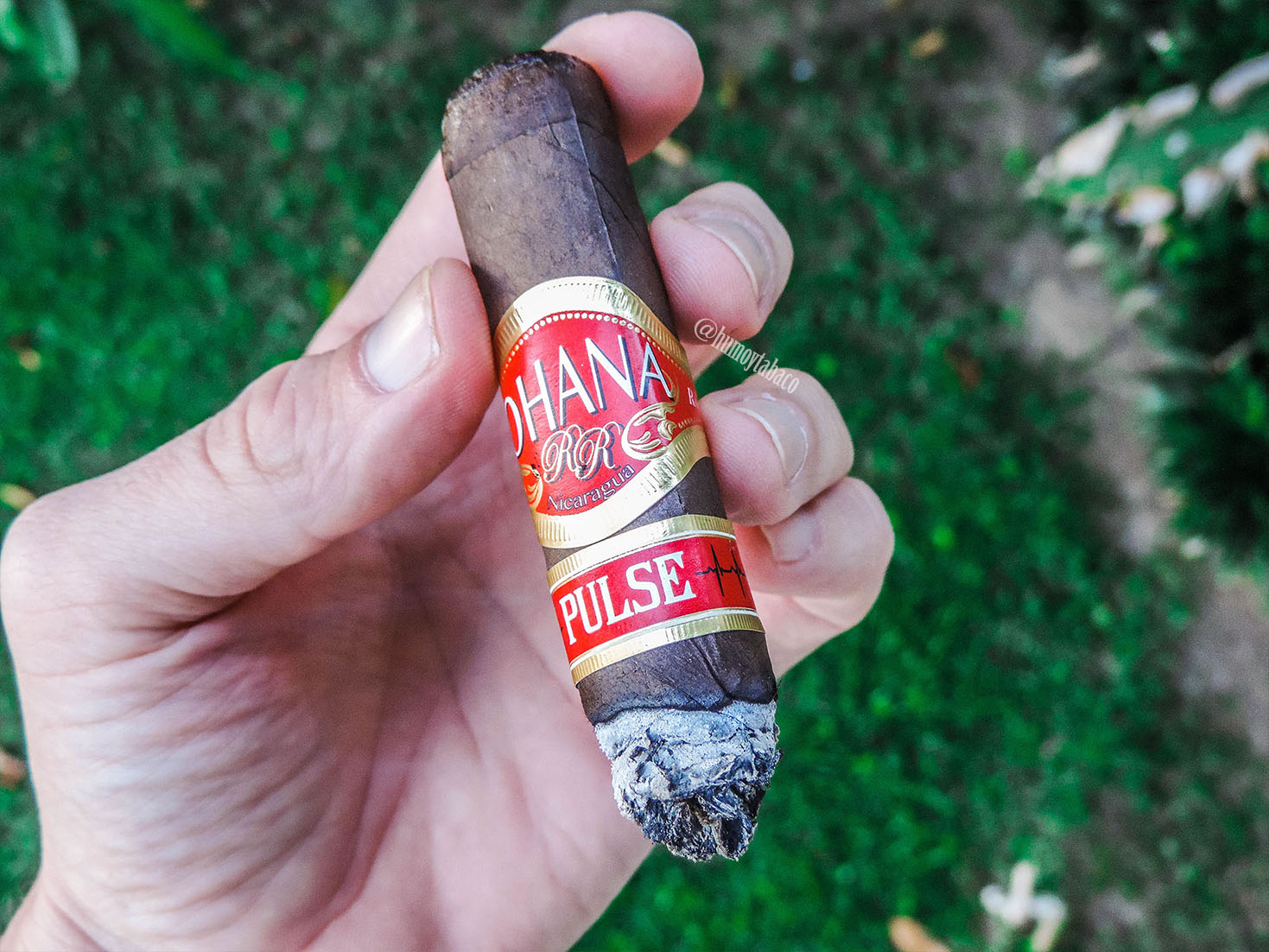 Ohana - Pulse Maduro 04