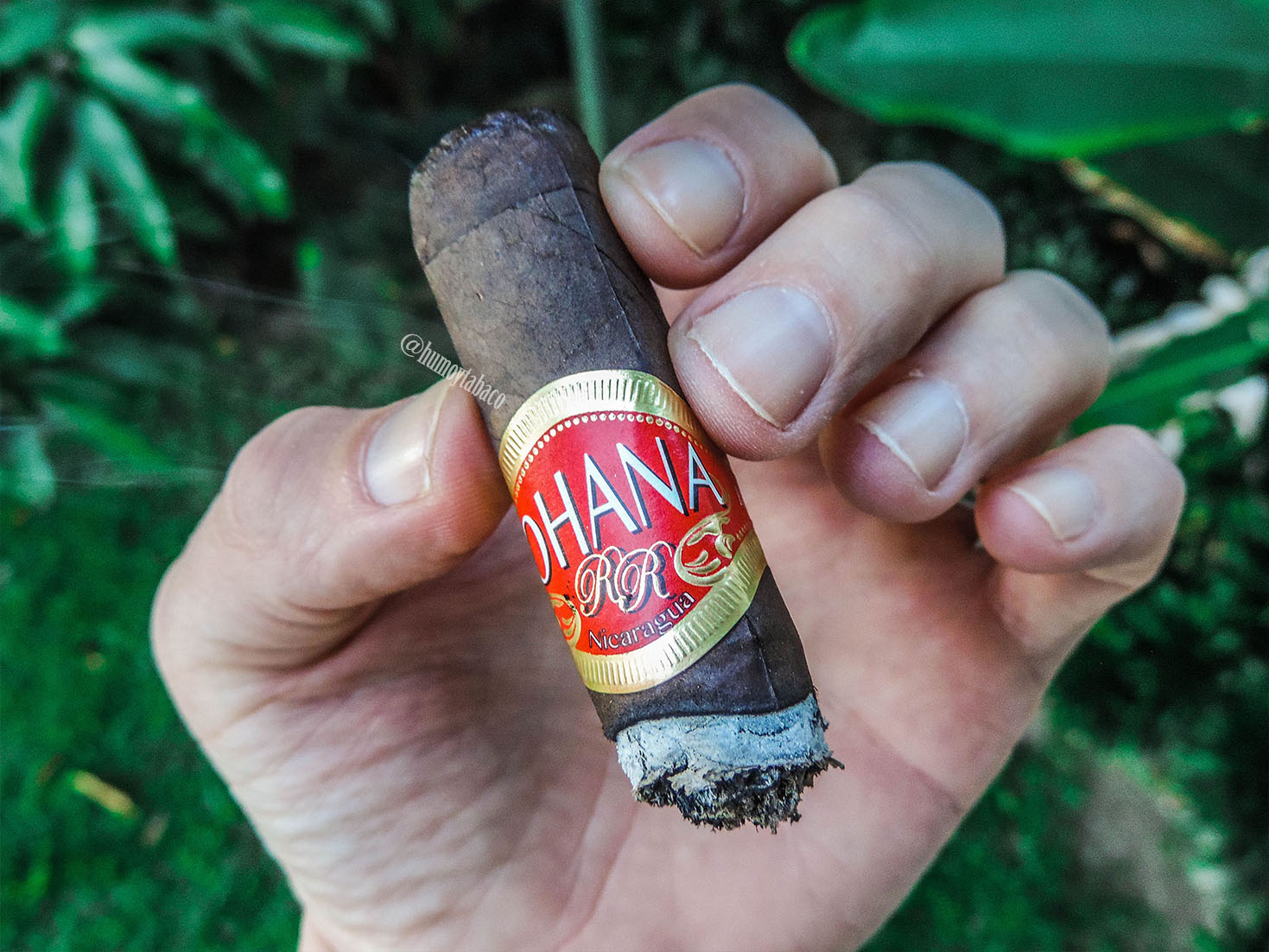 Ohana - Pulse Maduro 05