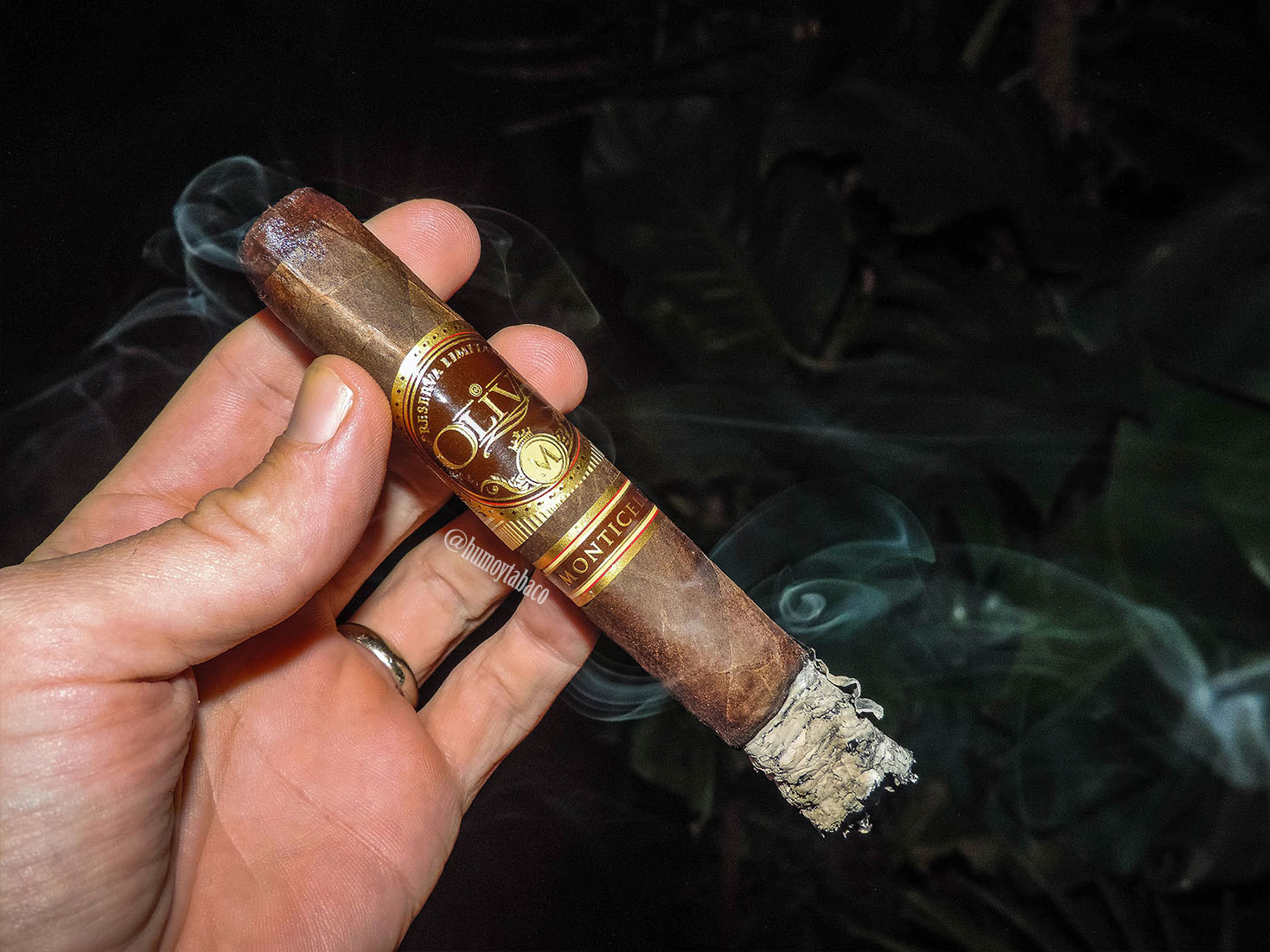 Oliva - Monticello 04