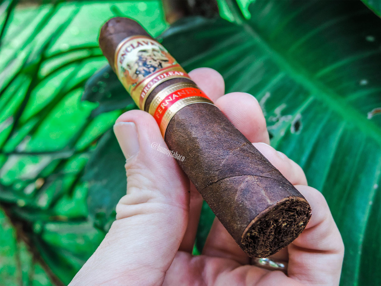 AJ Fernandez - Enclave Broadleaf 01