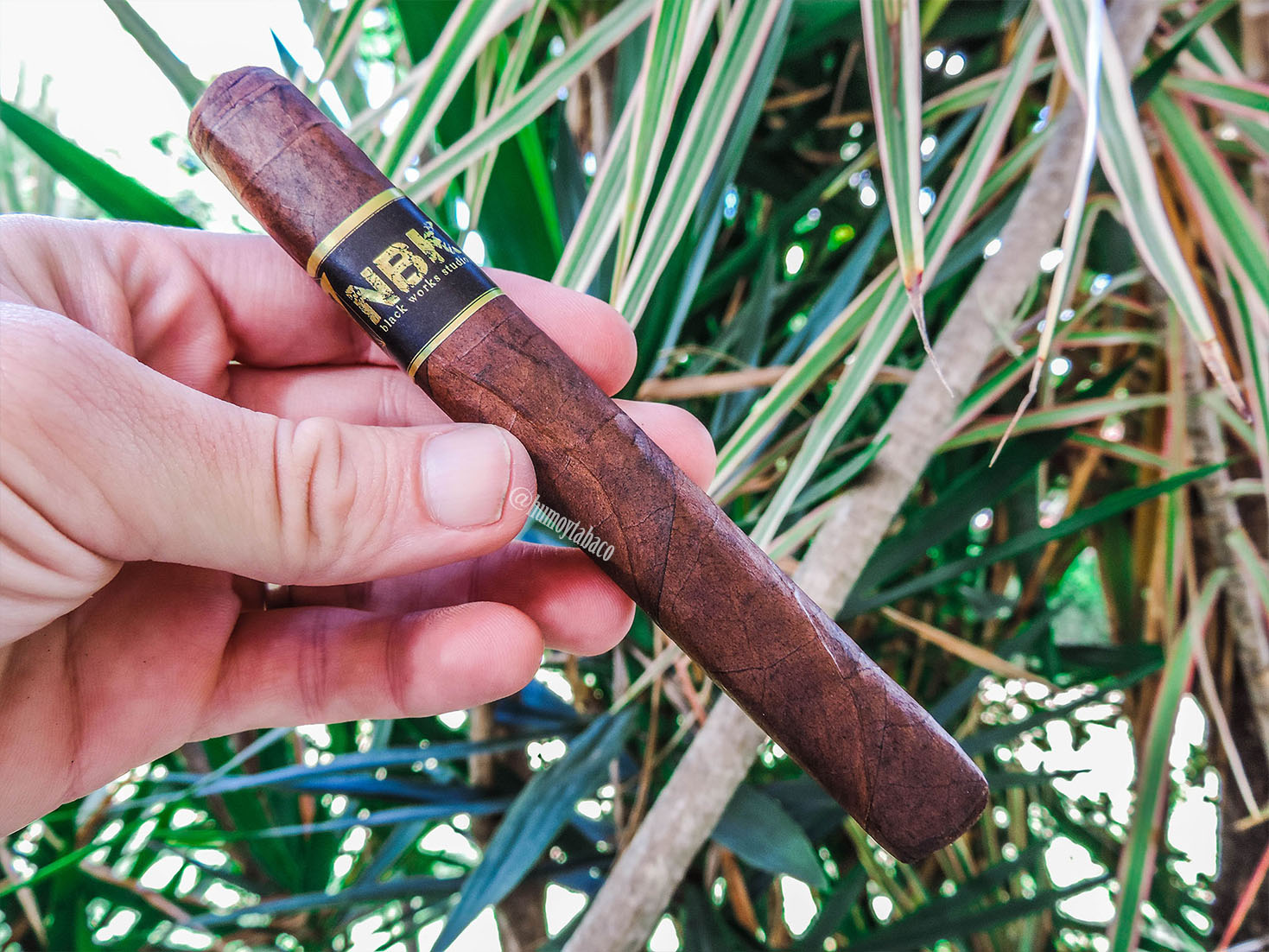 Black Works Studio - NBK 01