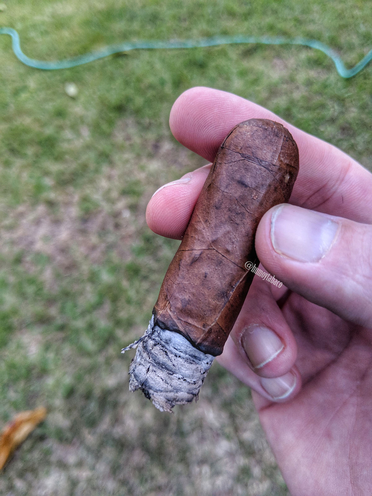 Epicurean - AG Vintage 2007 05