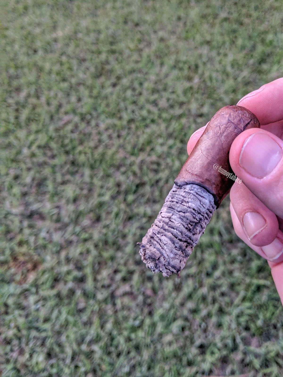 Epicurean - AG Vintage 2007 06