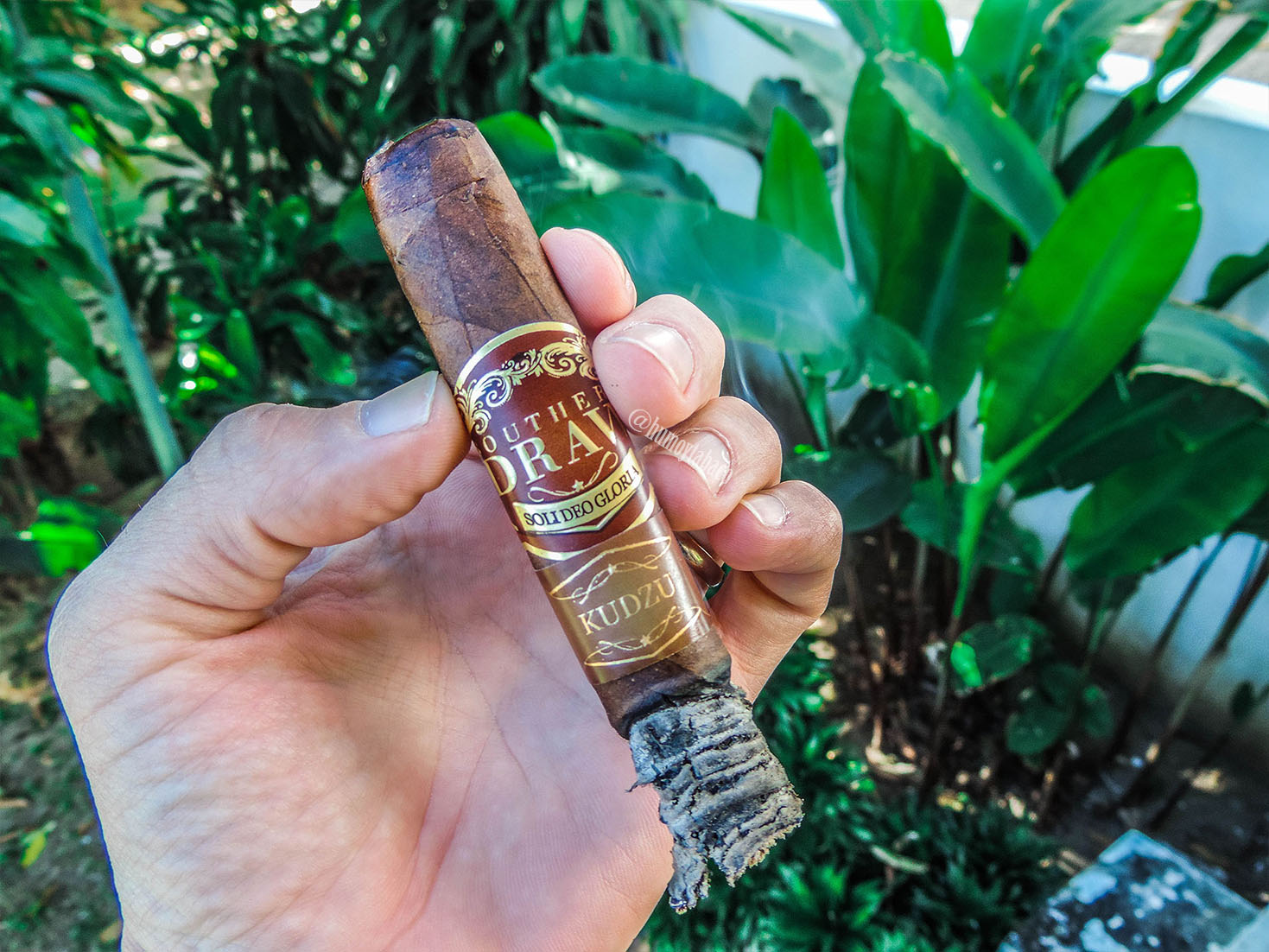 Southern Draw - Kudzu 04