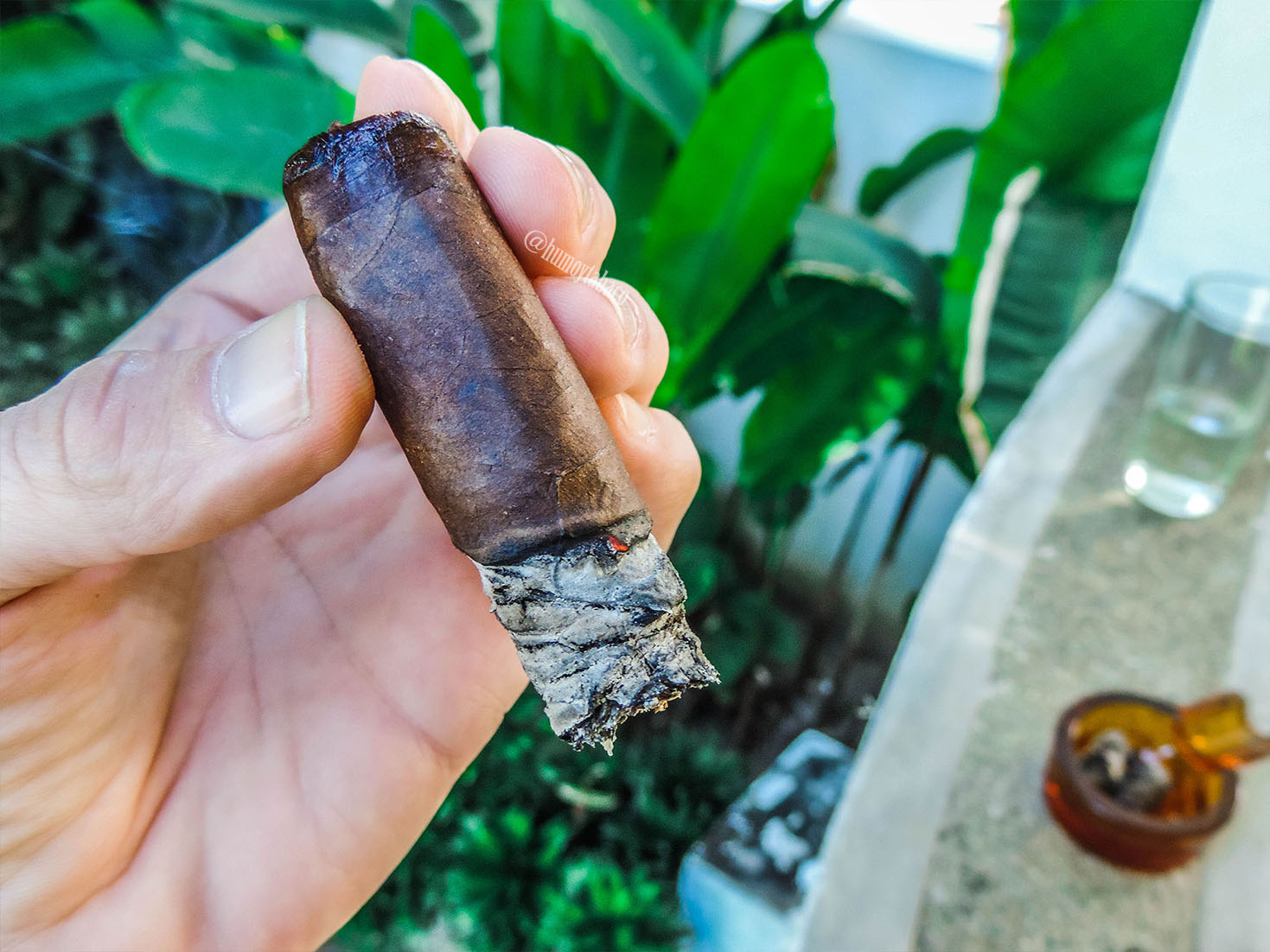 Southern Draw - Kudzu 06