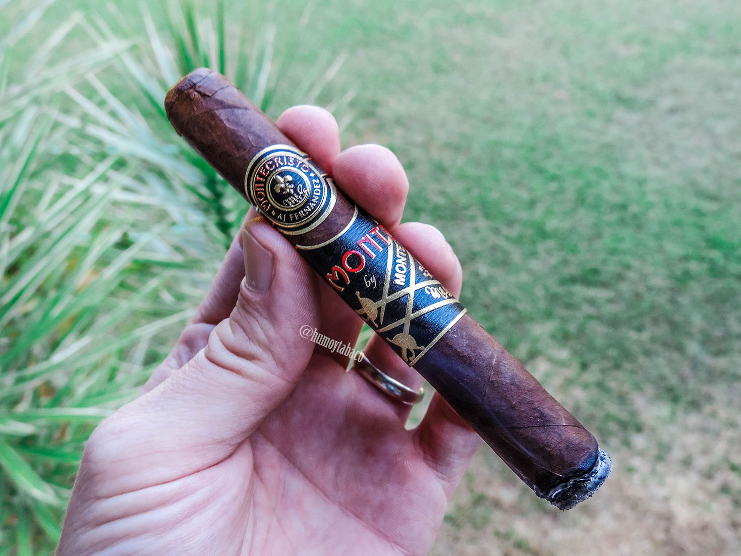 AJ Fernandez - Montecristo 02