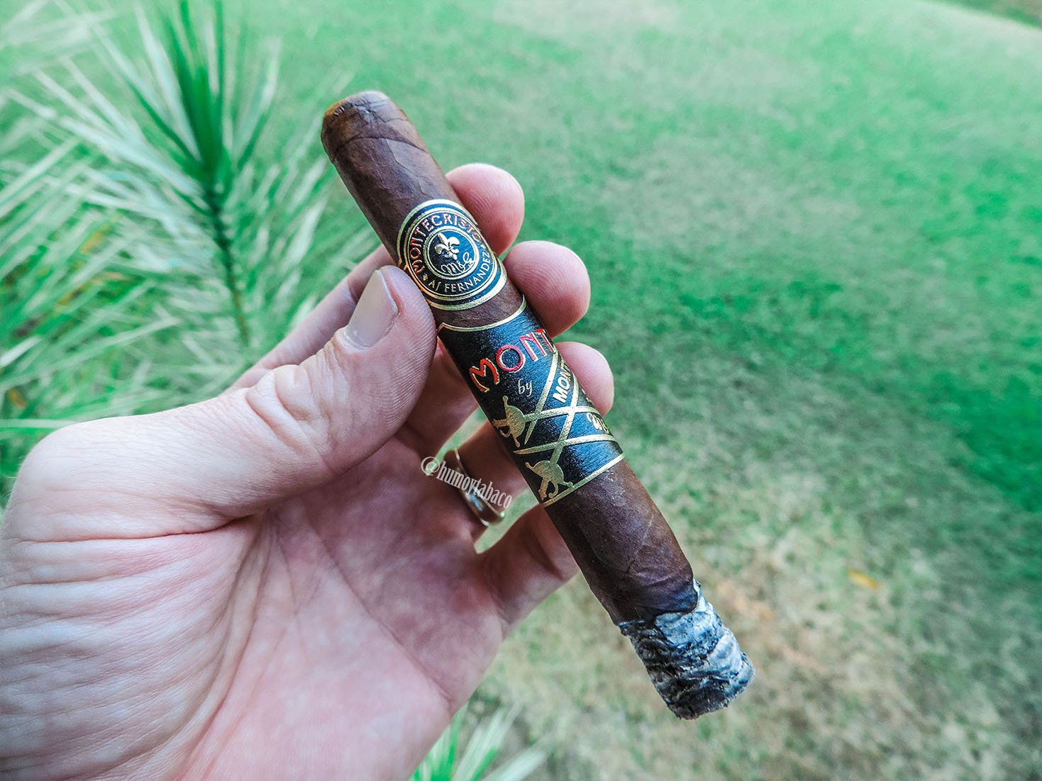 AJ Fernandez - Montecristo 03