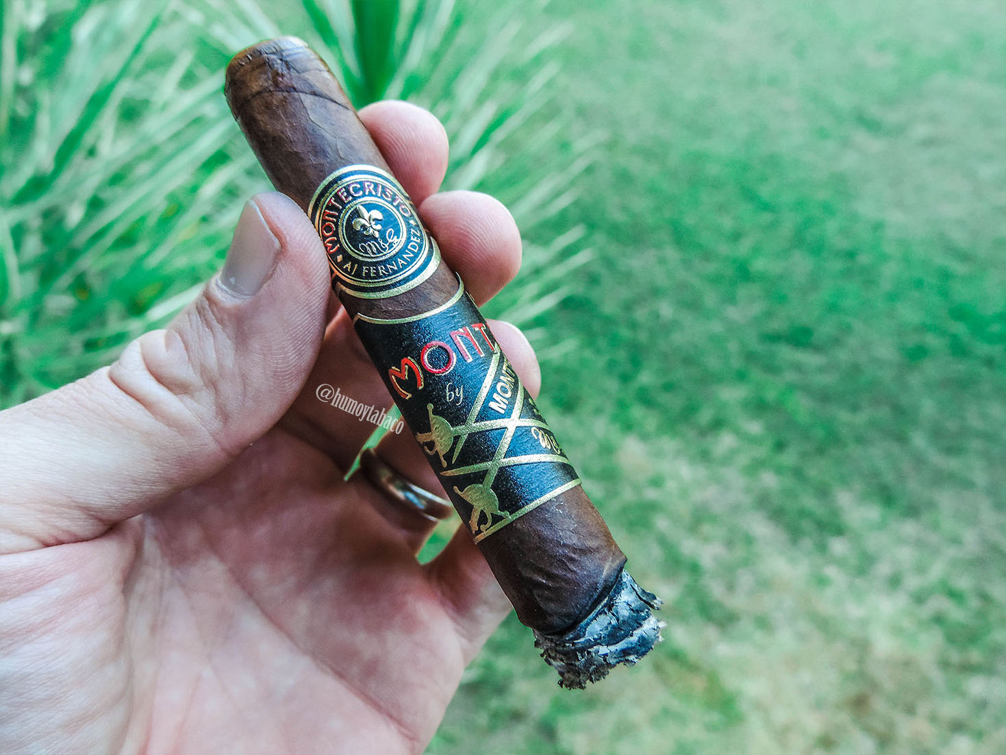 AJ Fernandez - Montecristo 04