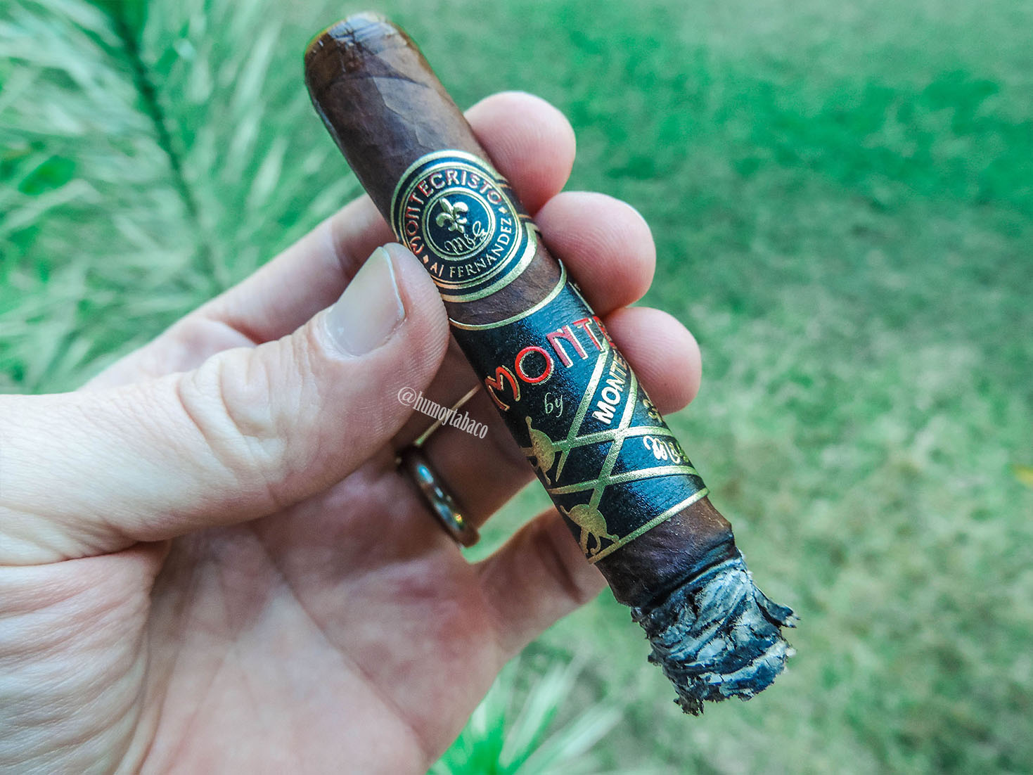 AJ Fernandez - Montecristo 05