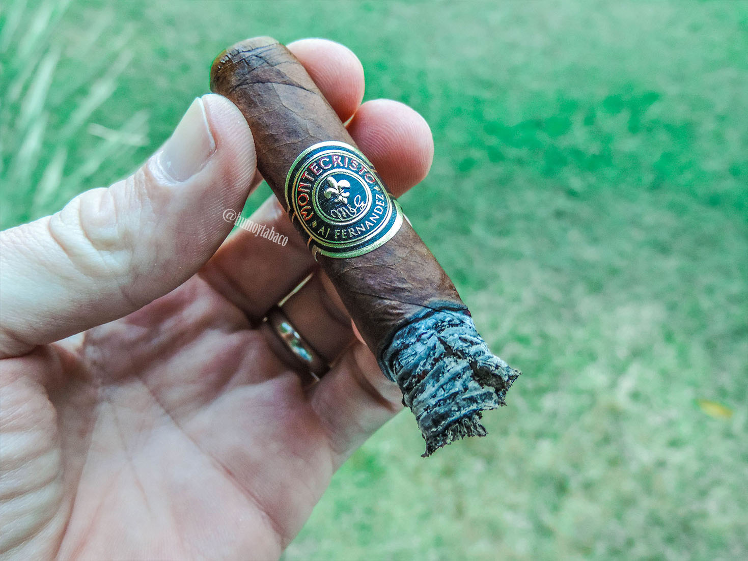 AJ Fernandez - Montecristo 06