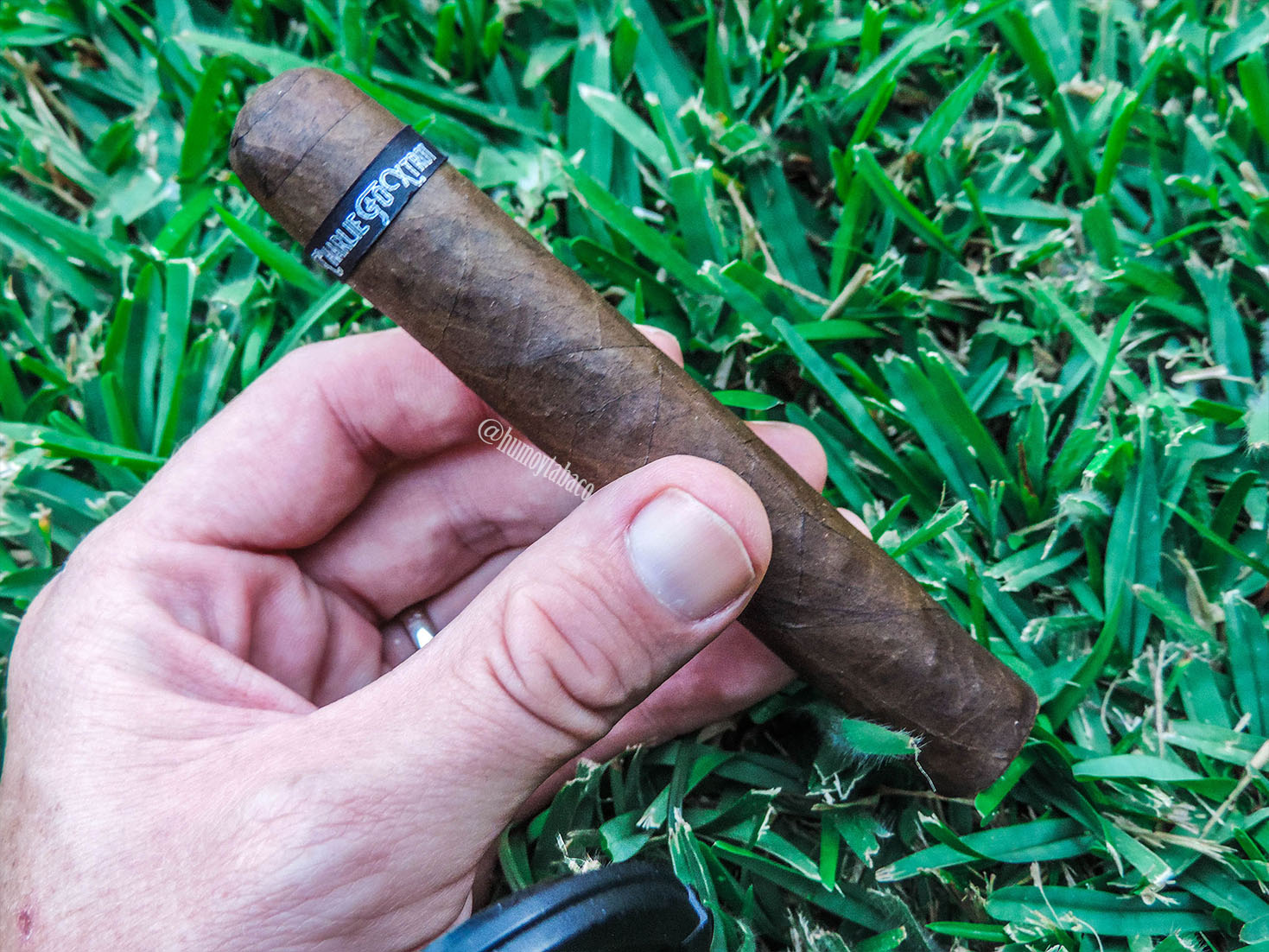 CFT - Charlie Foxtrot 01