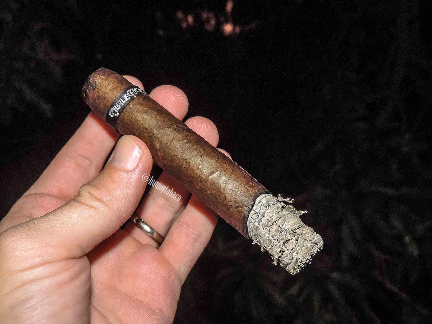 CFT - Charlie Foxtrot 03