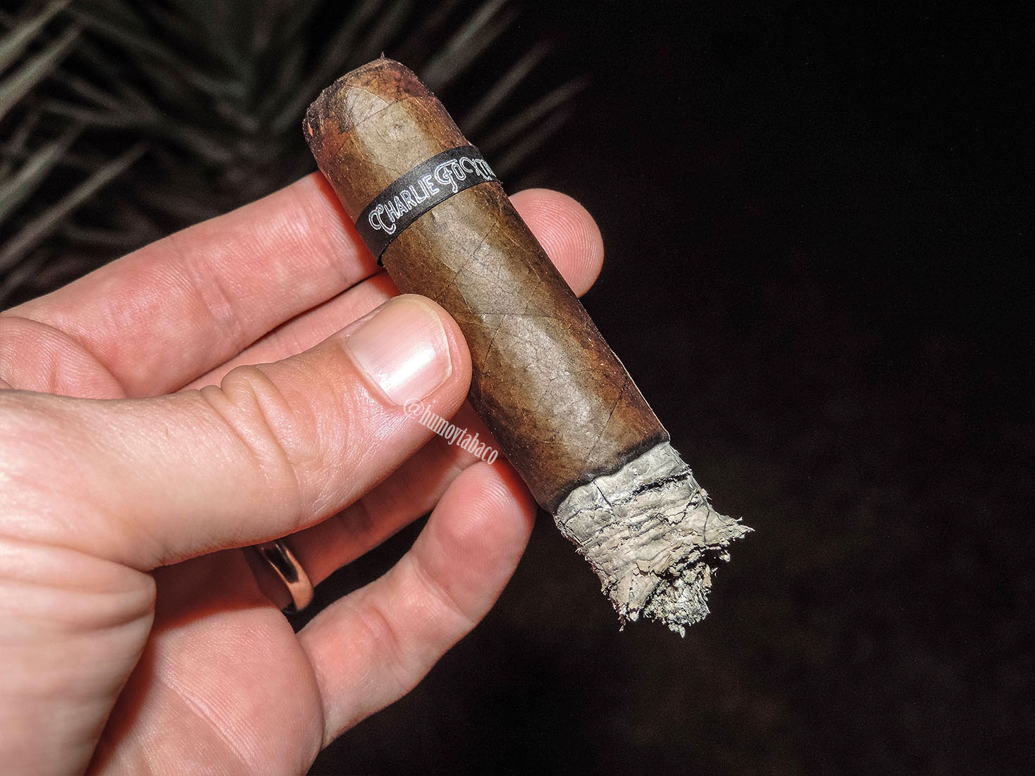 CFT - Charlie Foxtrot 05