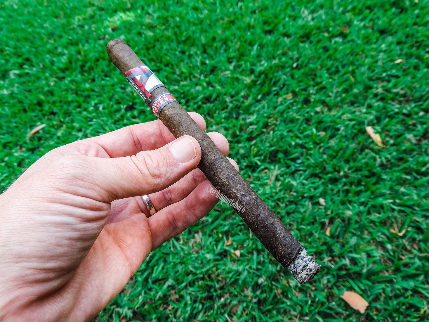 Cubariqueño - Protocol Probable Cause 03