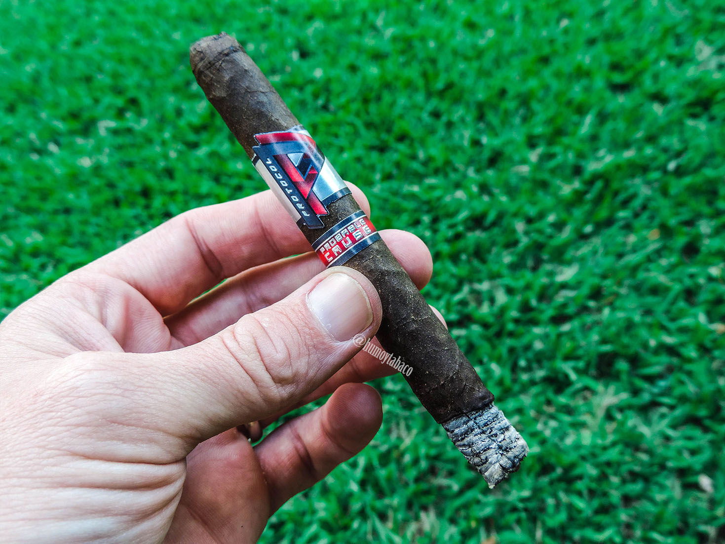 Cubariqueño - Protocol Probable Cause 04