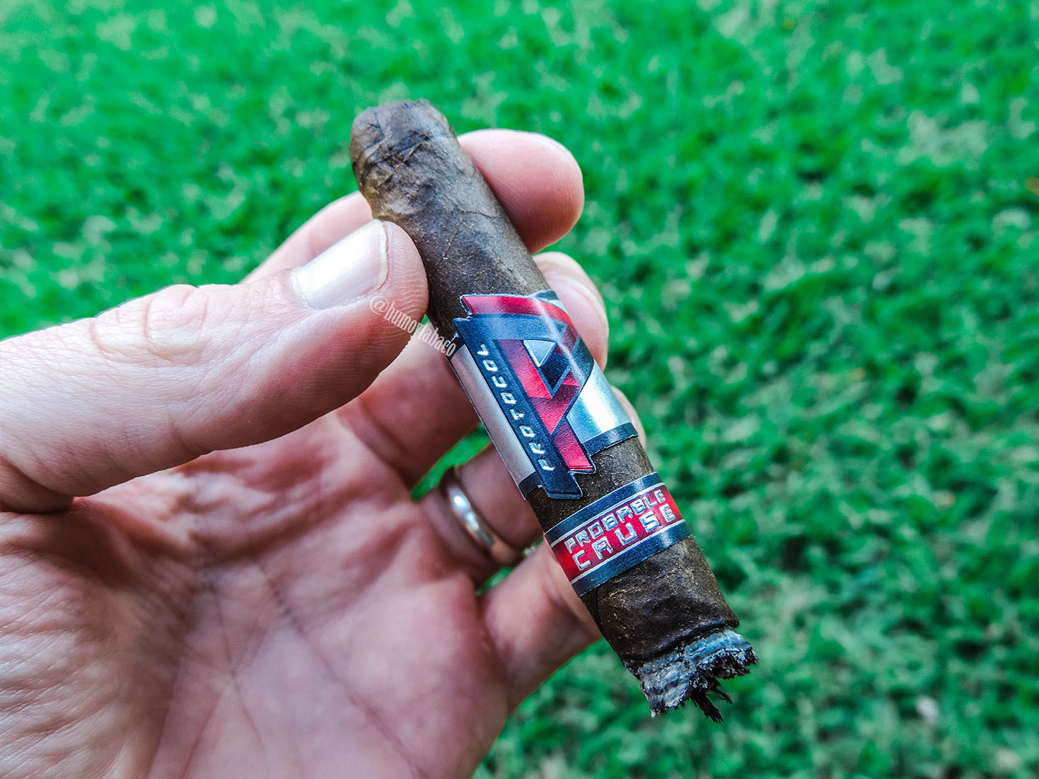 Cubariqueño - Protocol Probable Cause 06