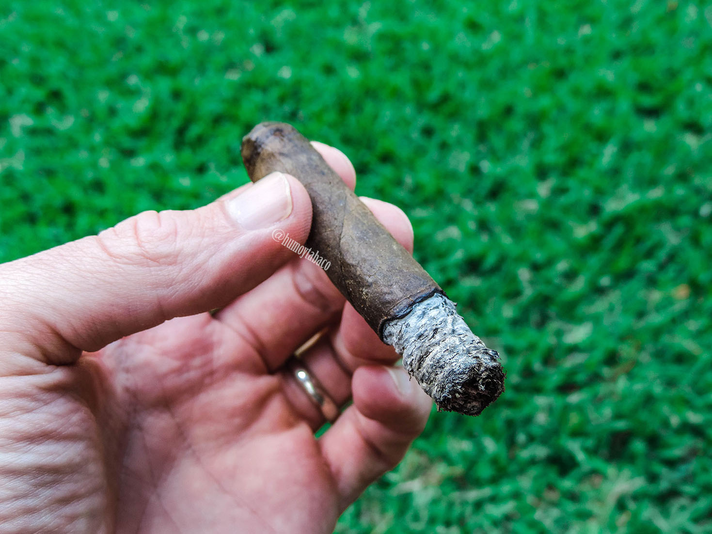 Cubariqueño - Protocol Probable Cause 07