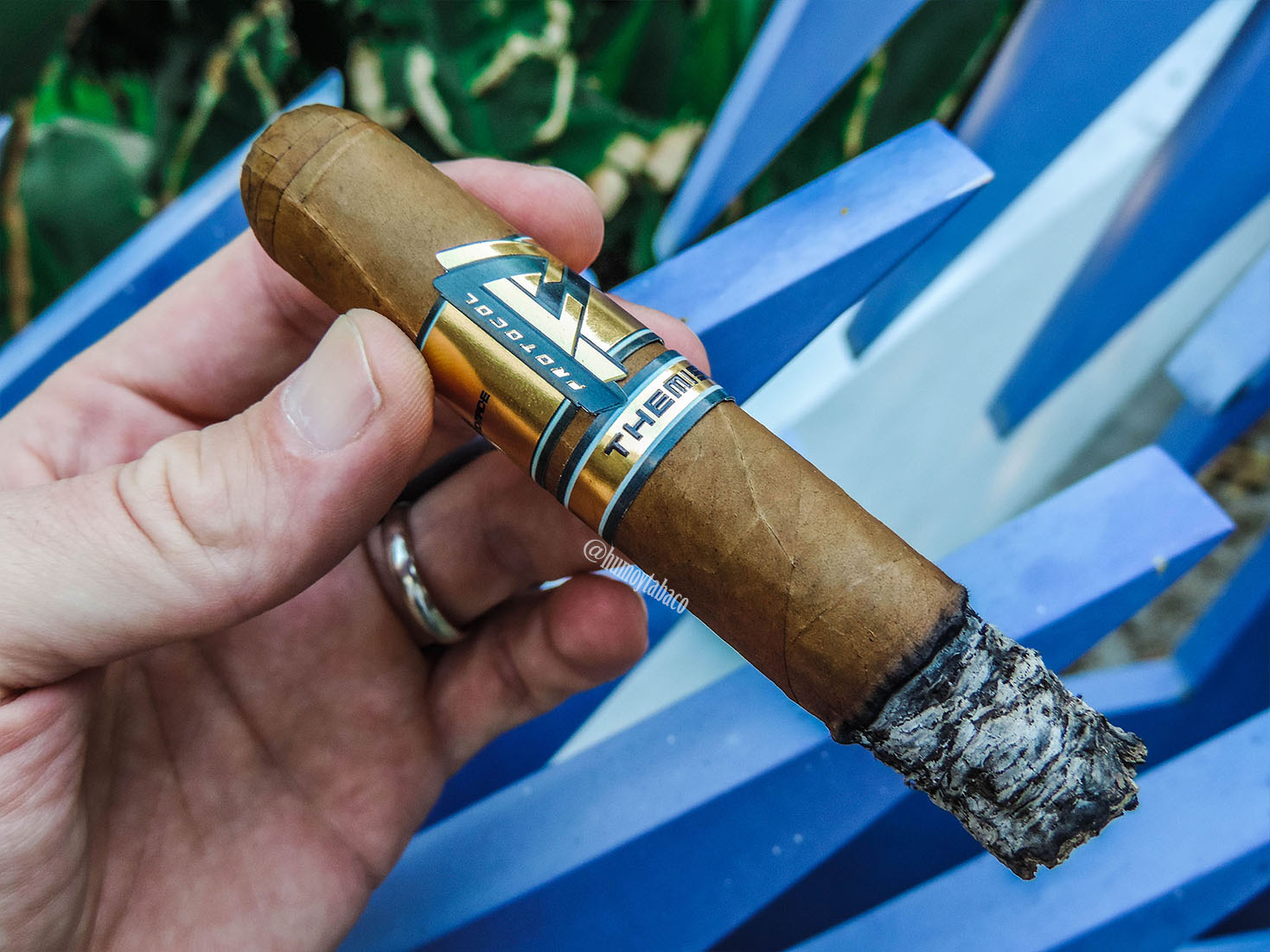 Cubariqueño - Protocol Themis 03