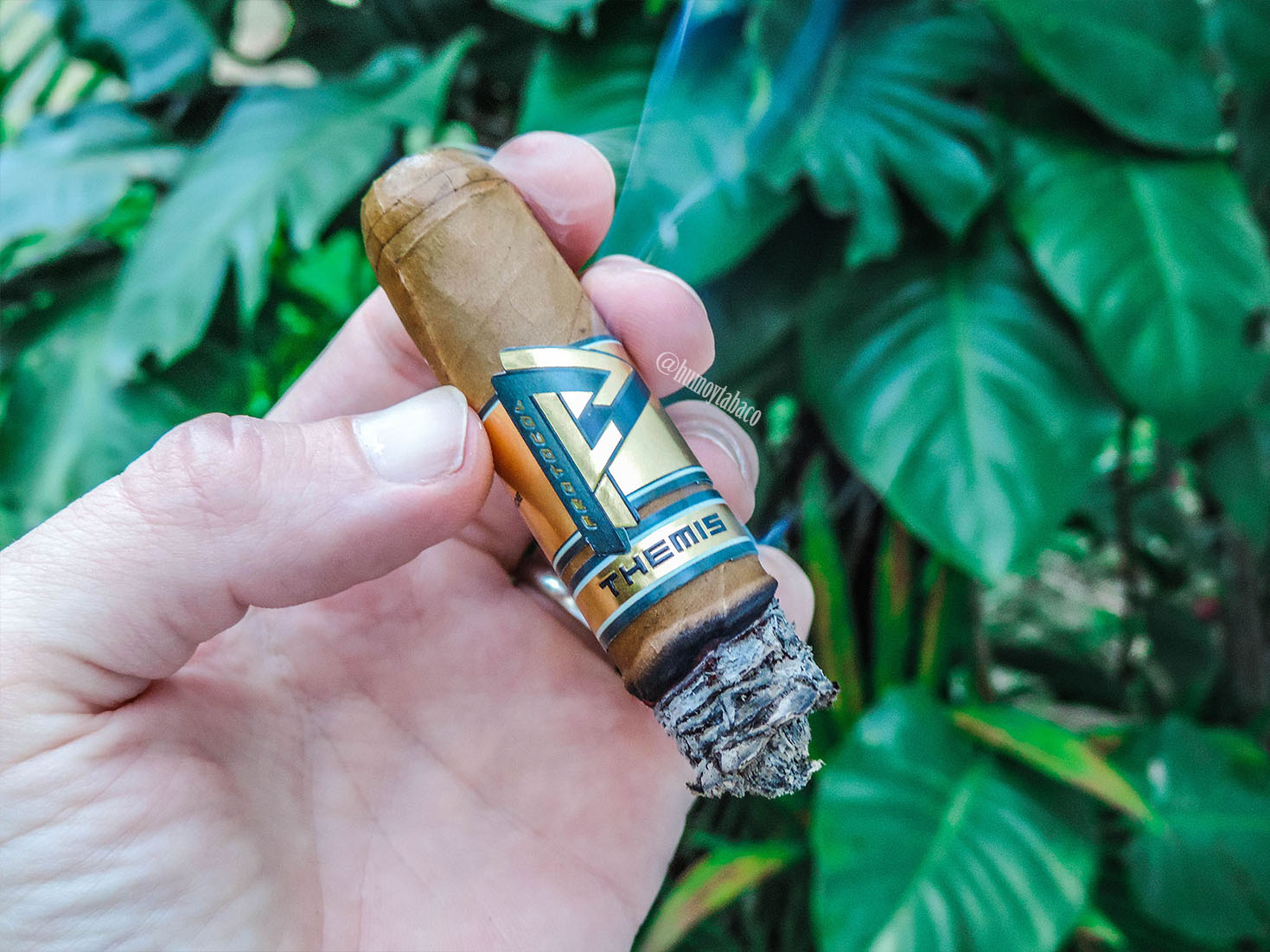 Cubariqueño - Protocol Themis 05