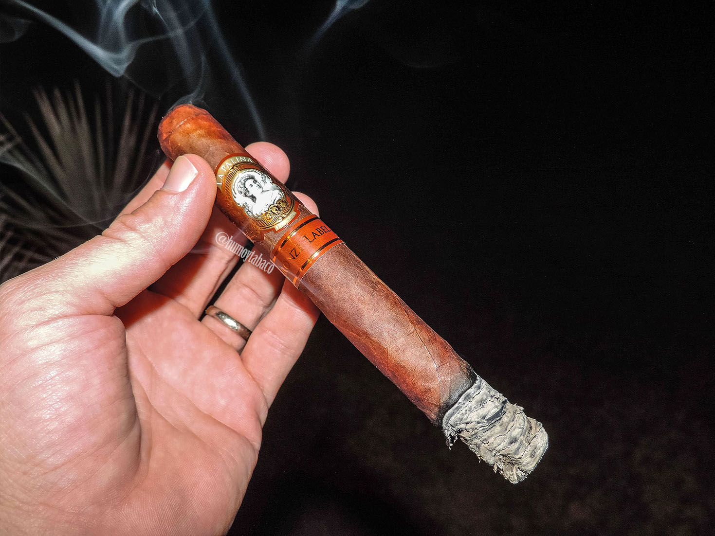 La Palina - Bronze Label 02