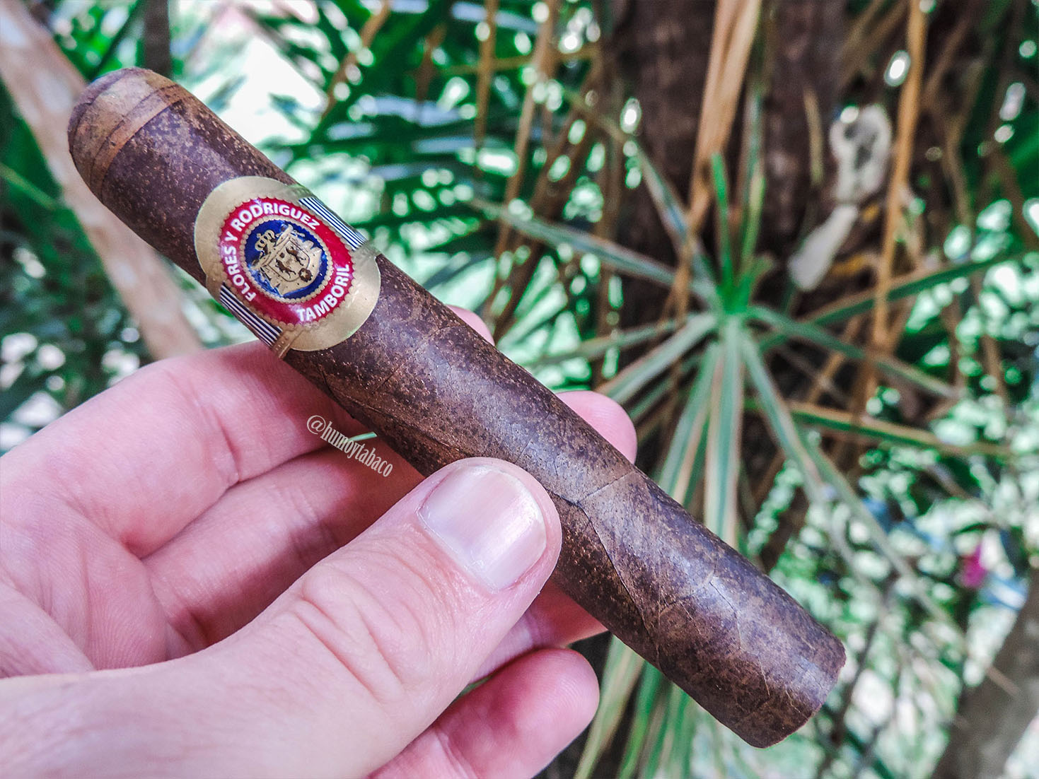 PDR - FyR Cabinet Maduro 01