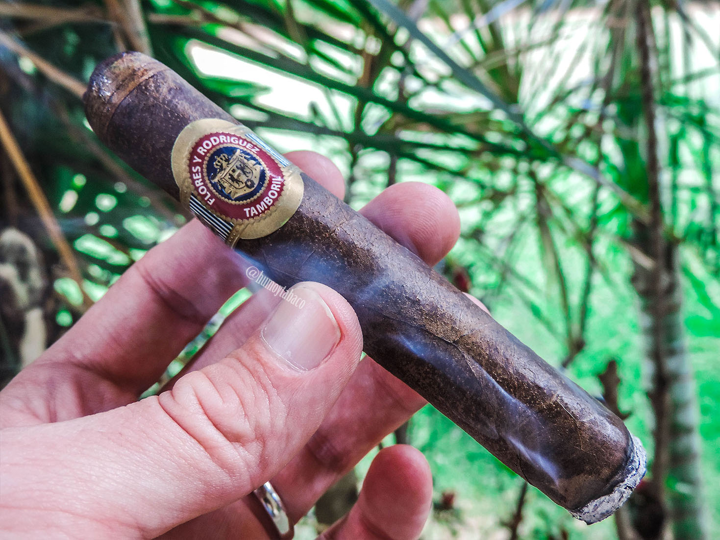 PDR - FyR Cabinet Maduro 02