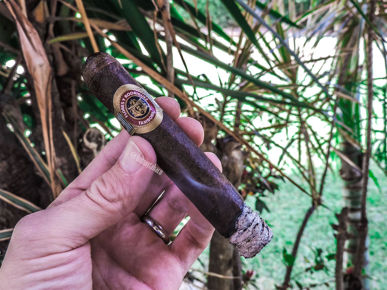 PDR - FyR Cabinet Maduro 03