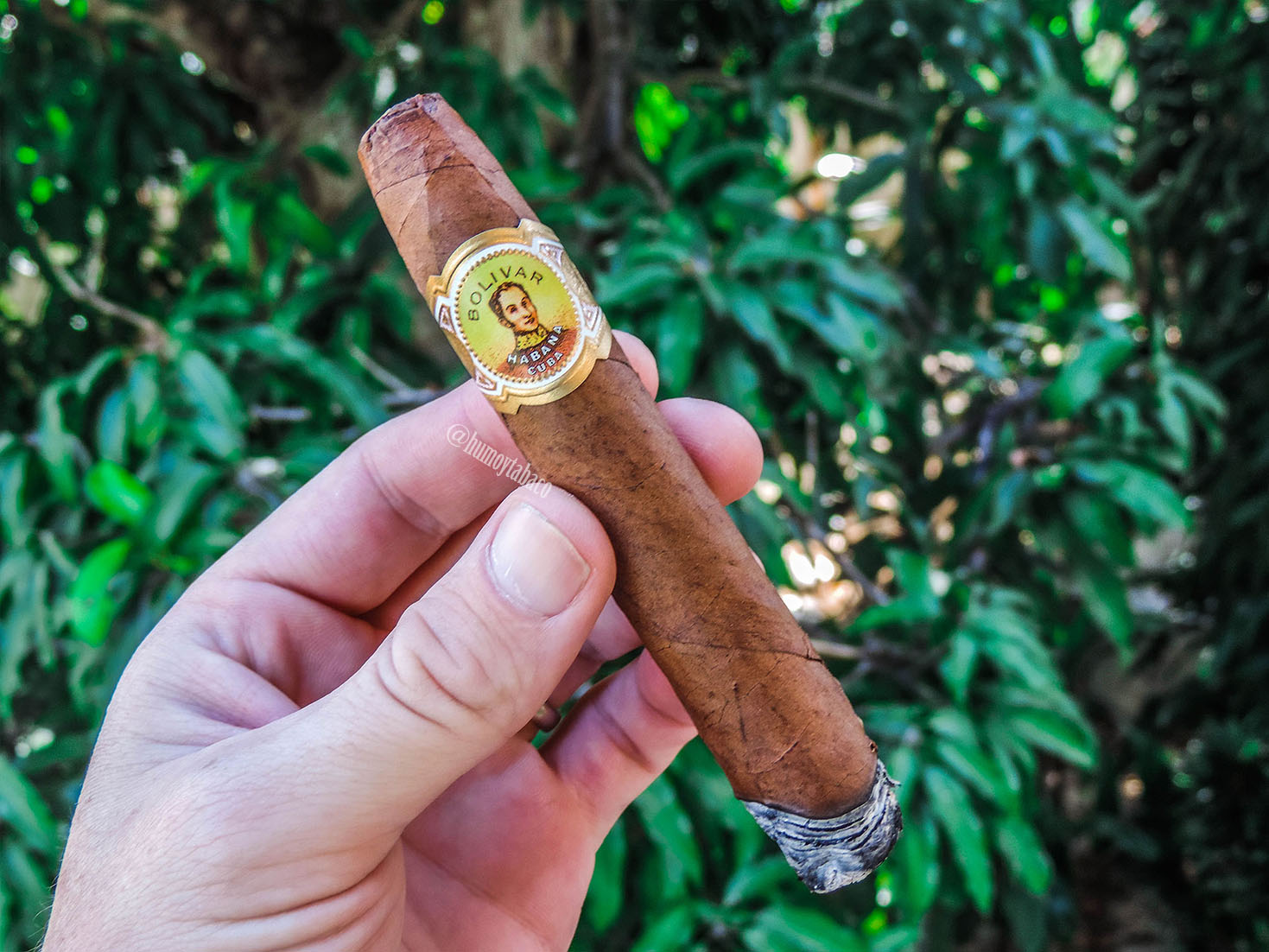 Bolivar - Belicoso Fino 02