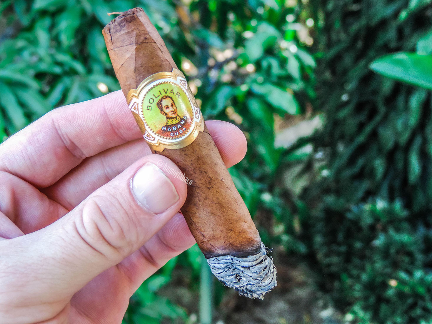 Bolivar - Belicoso Fino 04