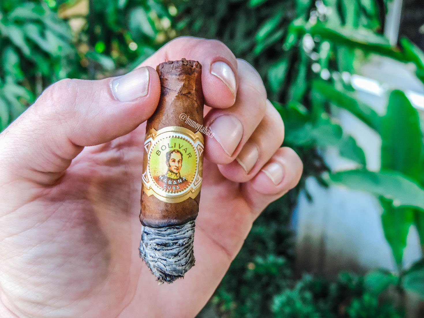 Bolivar - Belicoso Fino 06