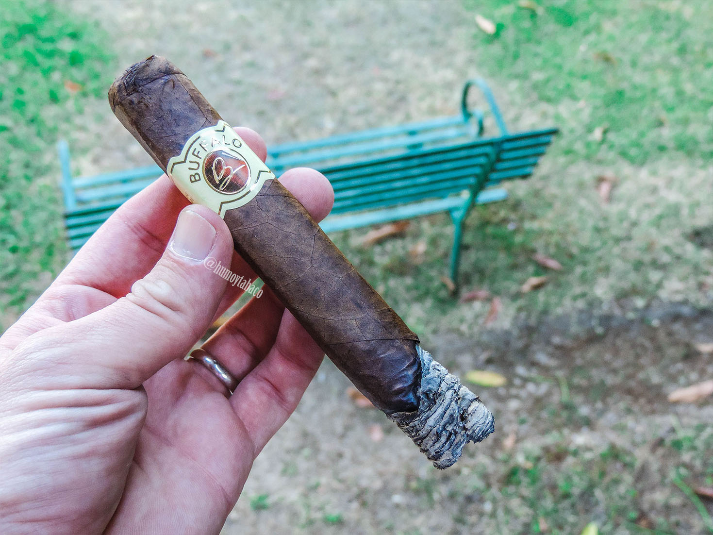 Buffalo - Box Press 03