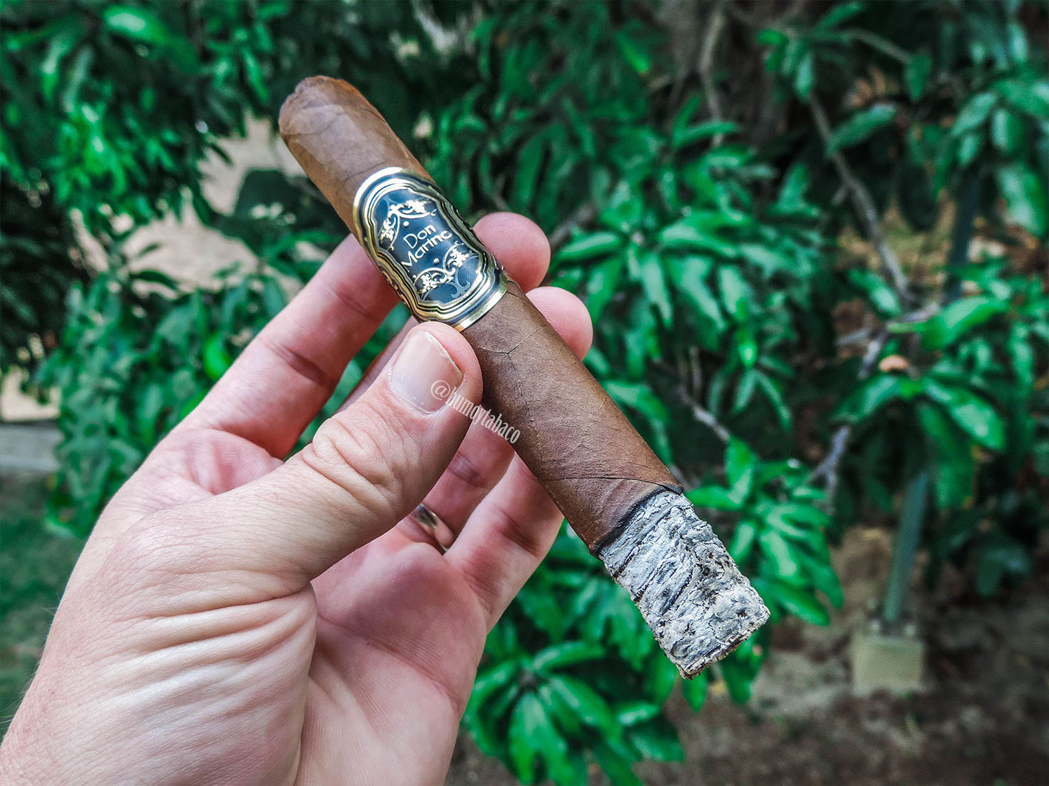 Cornelio Cigars - Don Marino 03