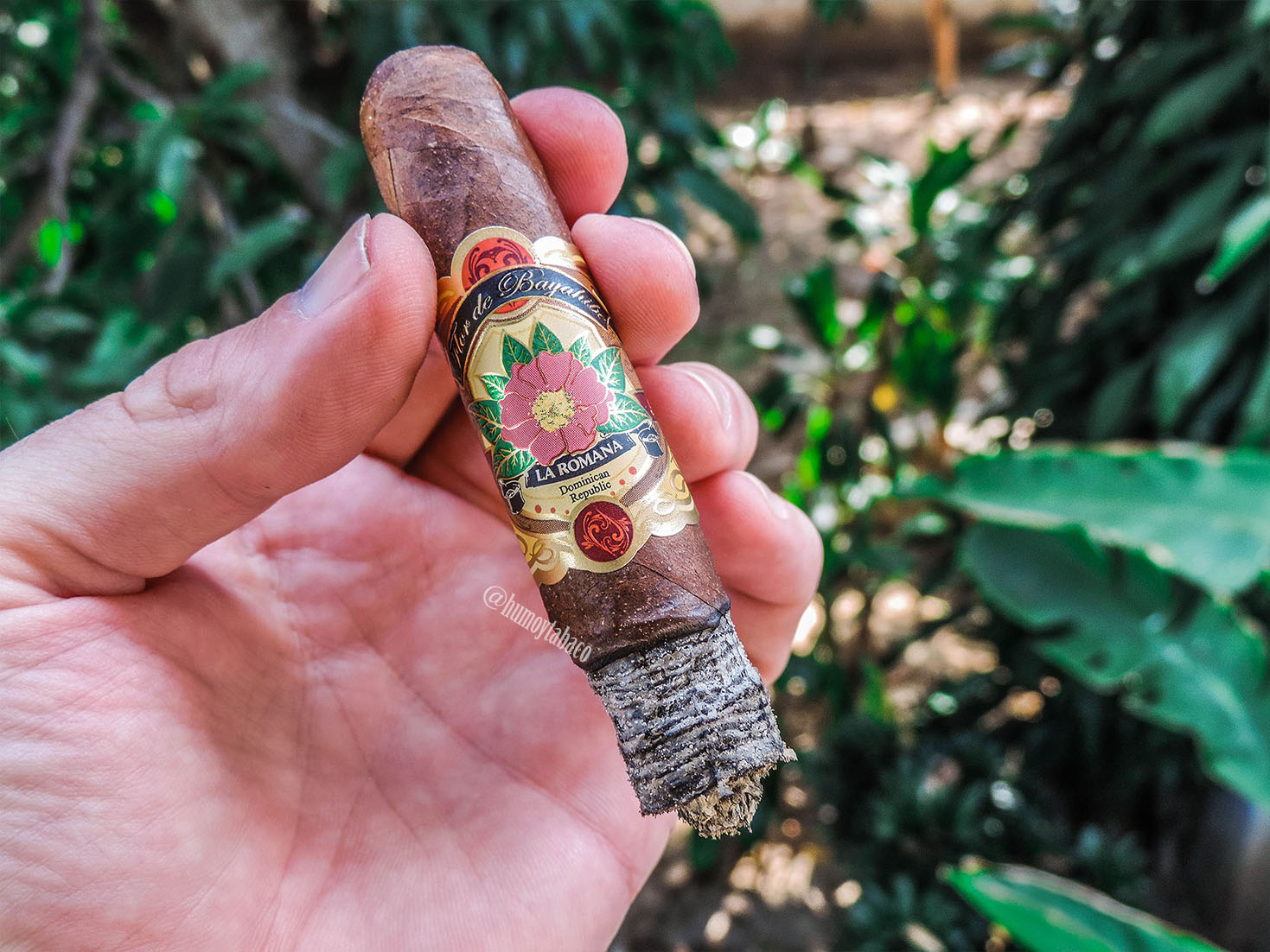 Cornelio Cigars - Flor de Bayahibe 06