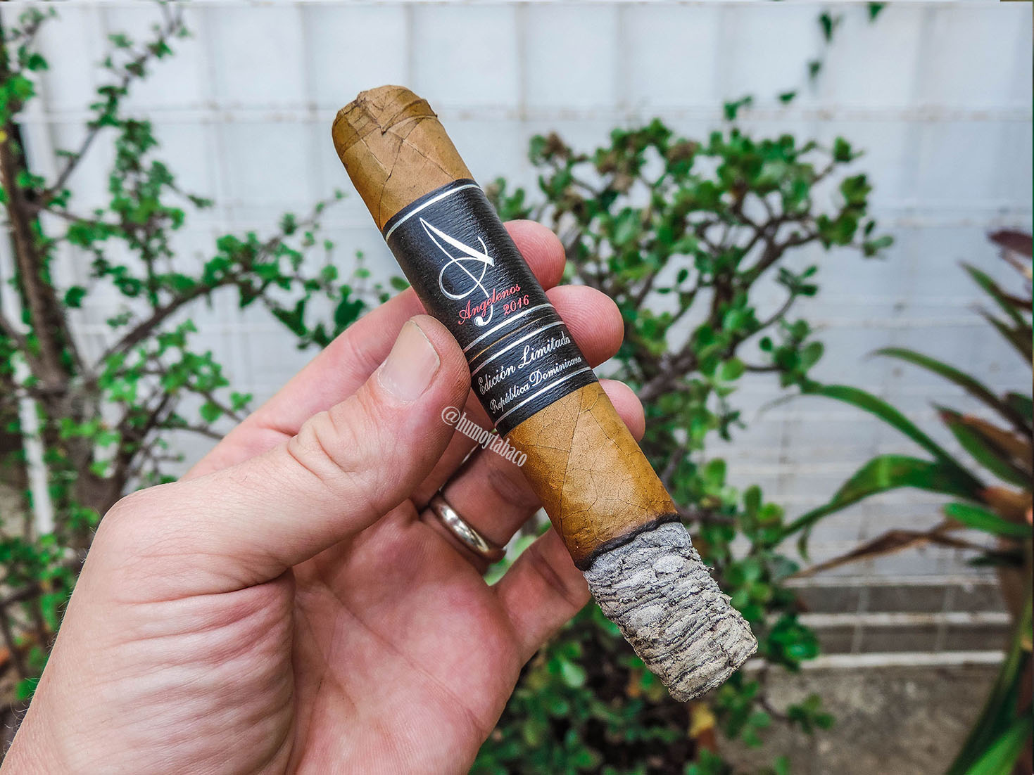 God of Fire - Angelenos 03