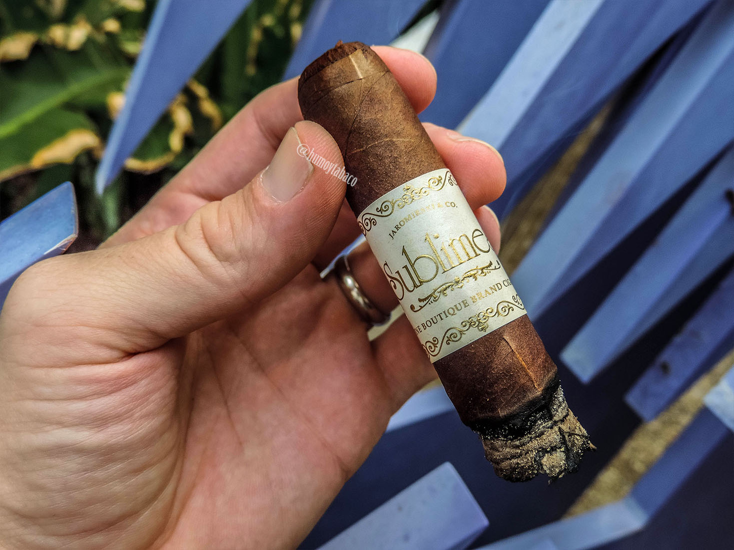 Jaromirski & Co. - Sublime 04