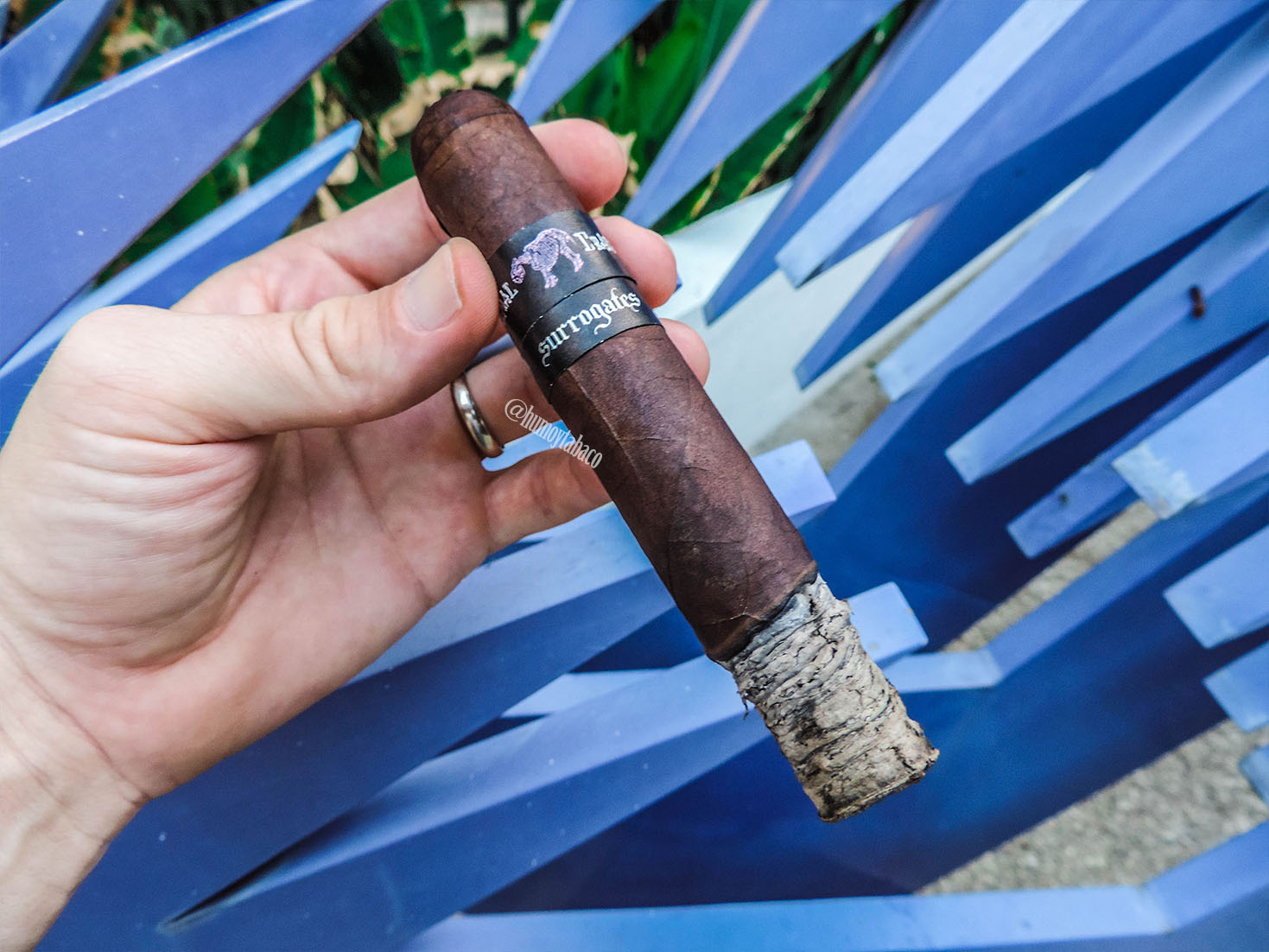 L'Atelier - Surrogates Animal Cracker 04