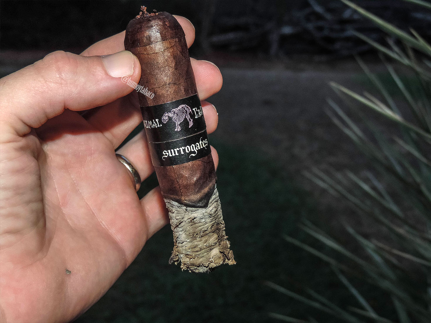 L'Atelier - Surrogates Animal Cracker 06