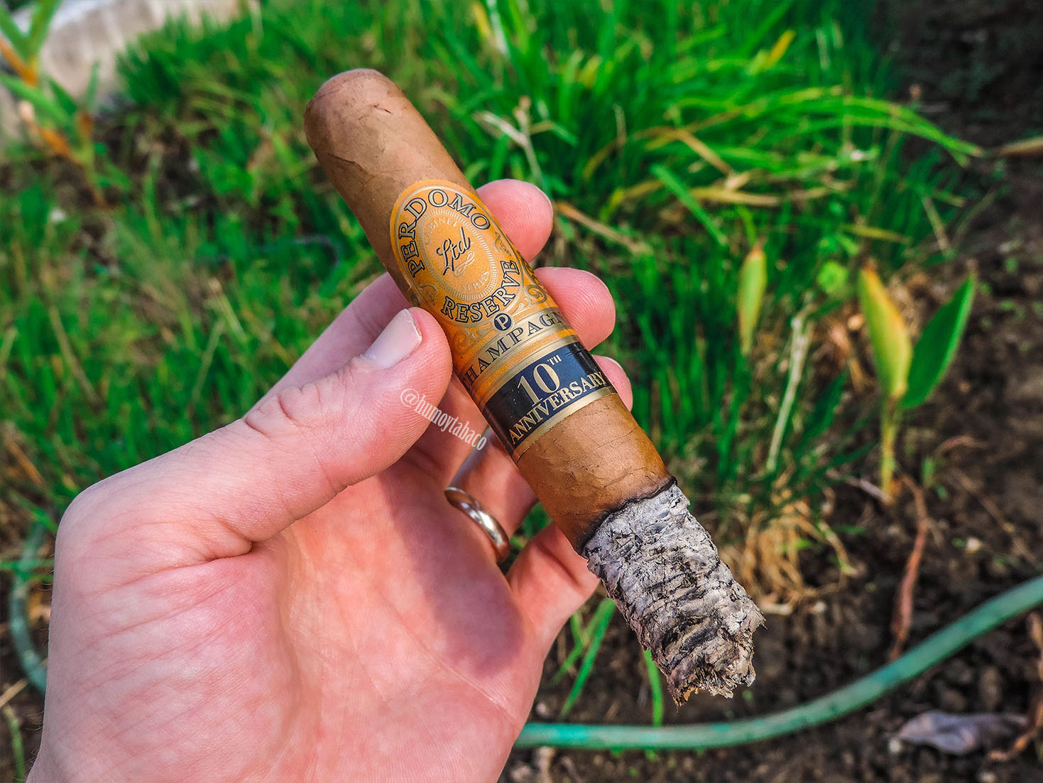 Perdomo - Reserve 10th Anniversary Champagne 05