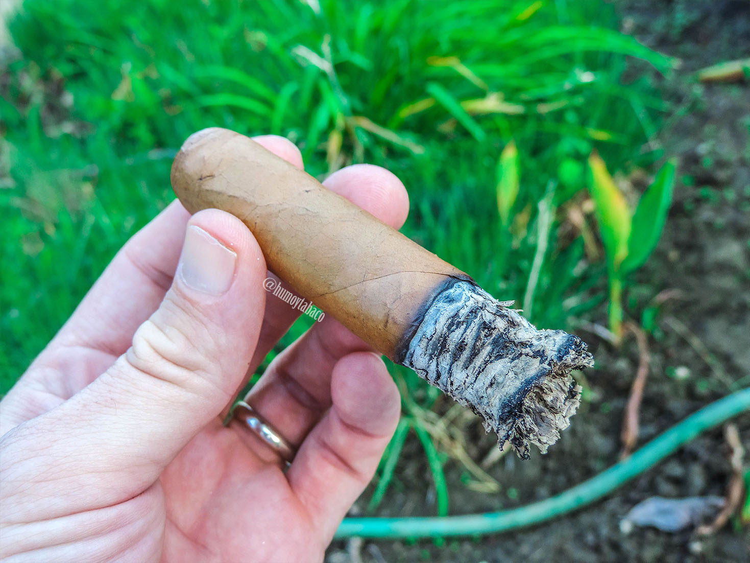 Perdomo - Reserve 10th Anniversary Champagne 06