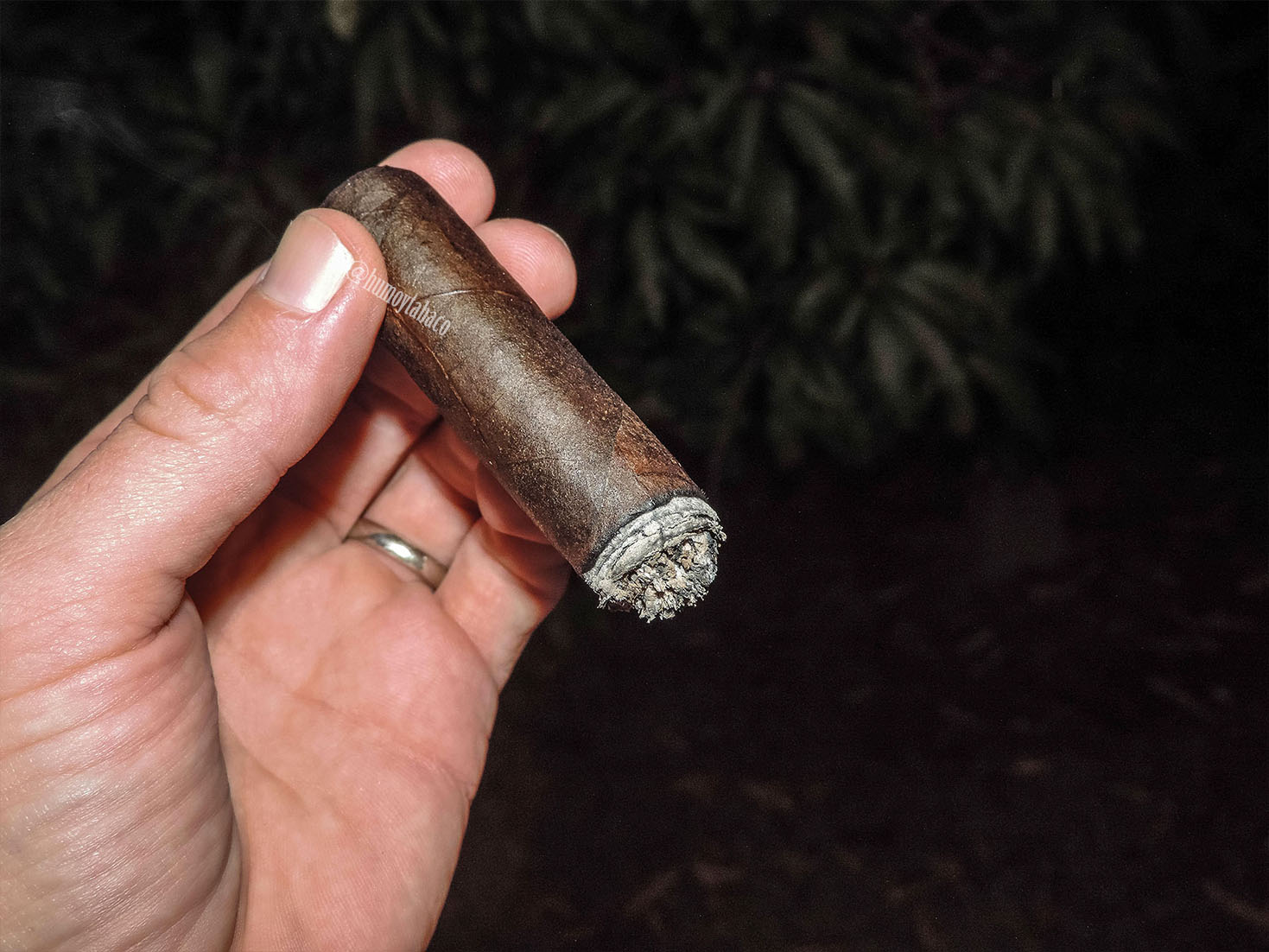 Romeo y Julieta - Romeo San Andres 06