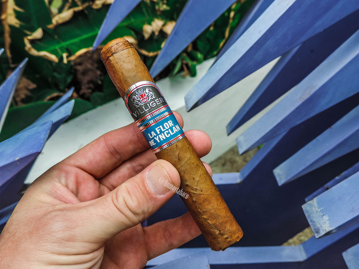 Villiger - La Flor de Ynclan 01