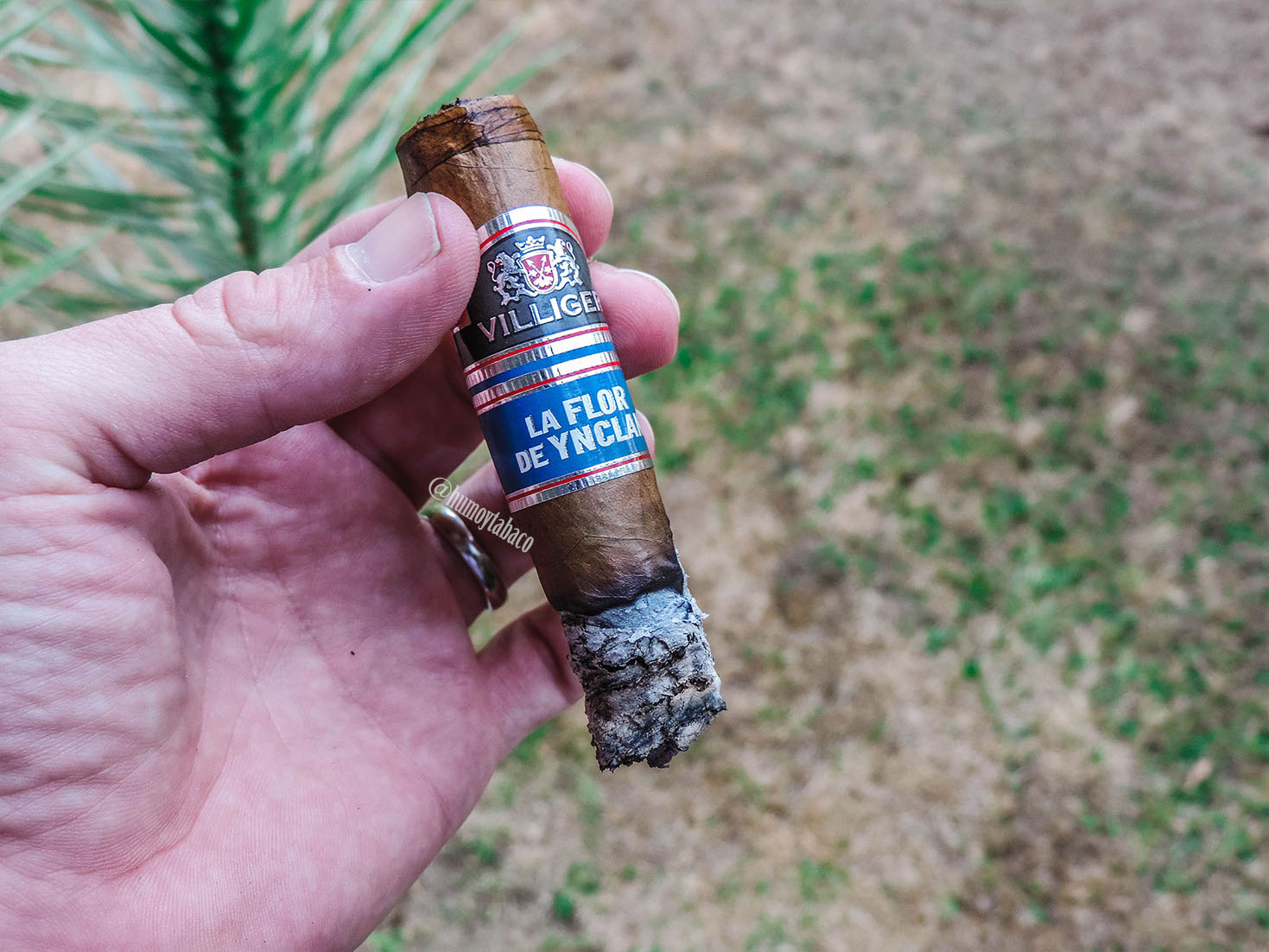 Villiger - La Flor de Ynclan 04