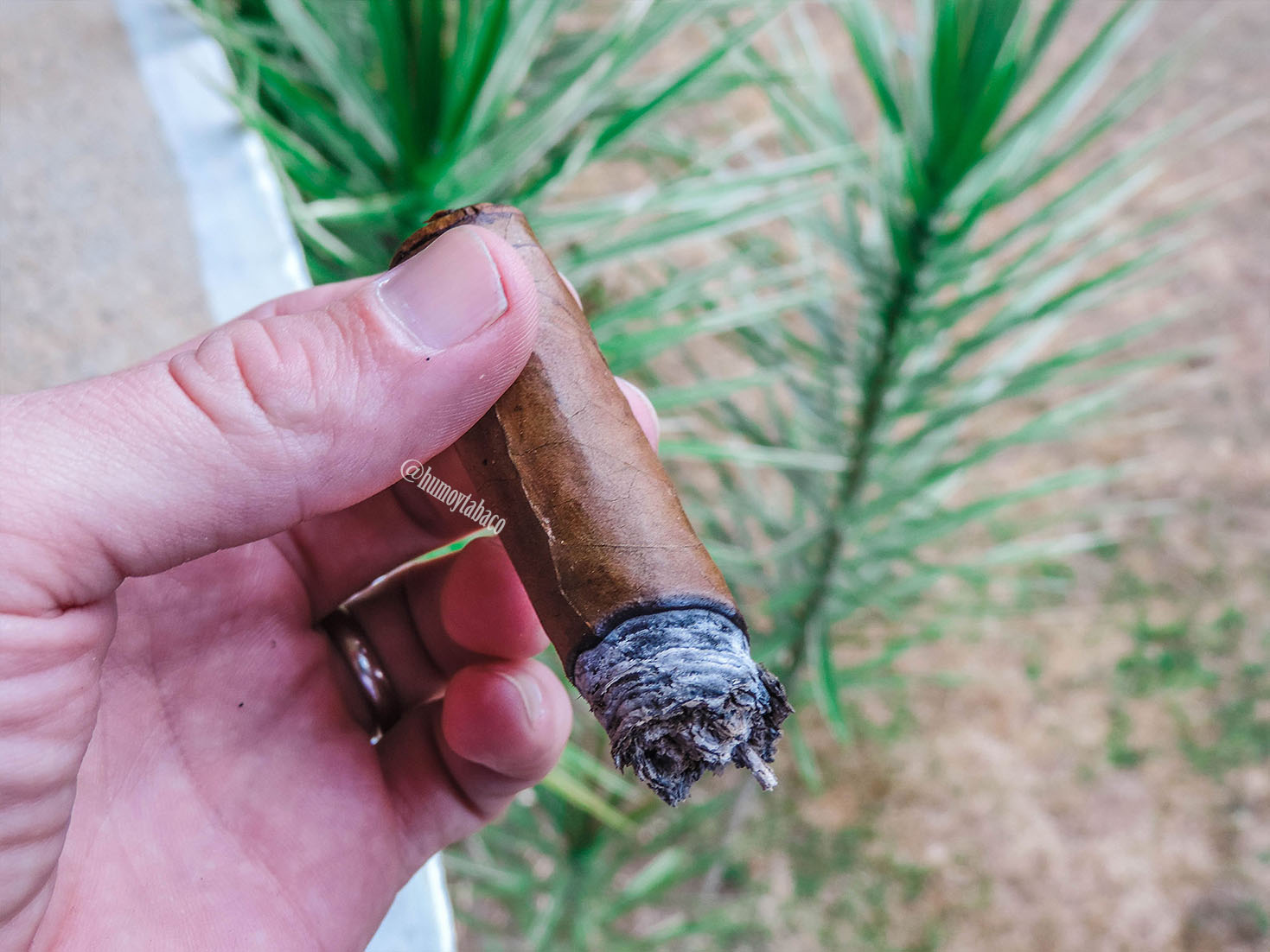 Villiger - La Flor de Ynclan 05