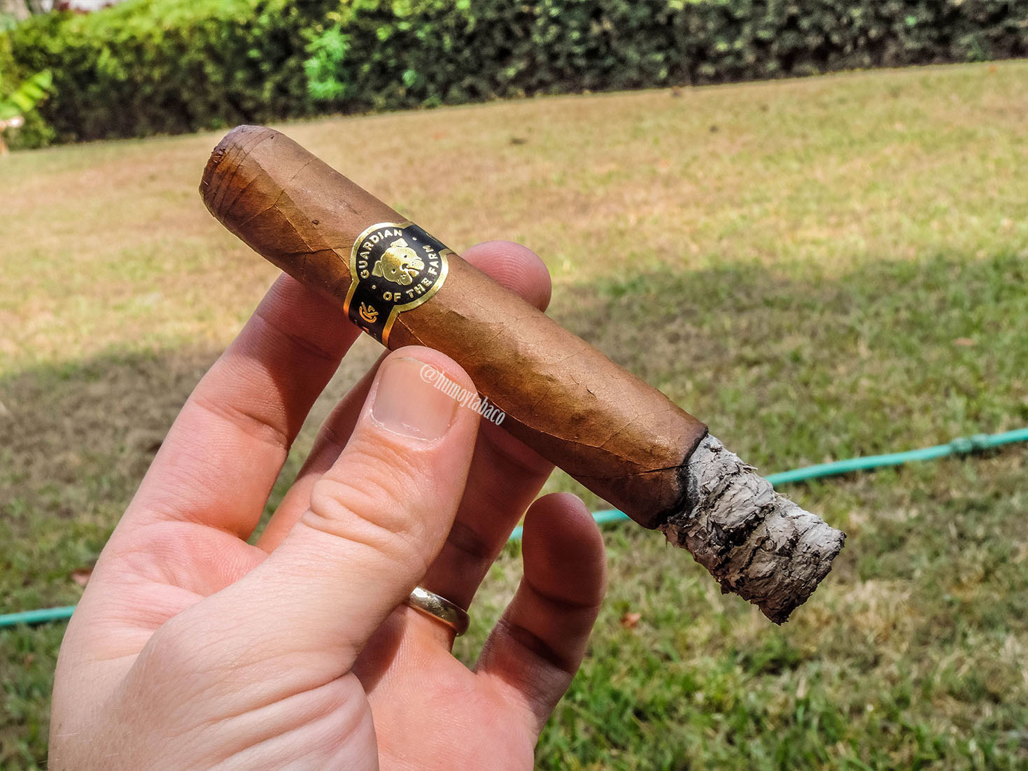 Warped - Guardian of the Farm 02