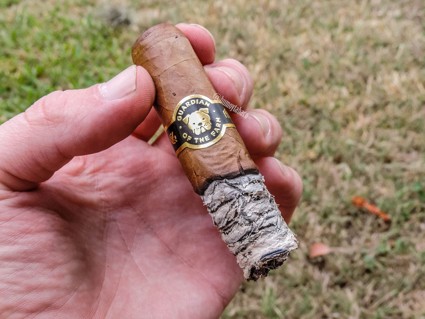 Warped - Guardian of the Farm 06